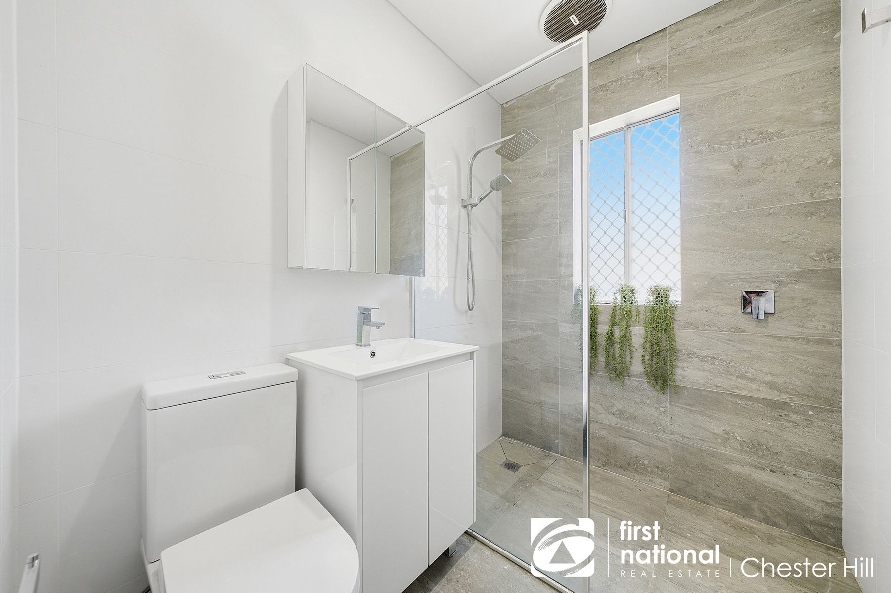 61 Ian Crescent, Chester Hill NSW 2162, Chester Hill - Thumbnail 4