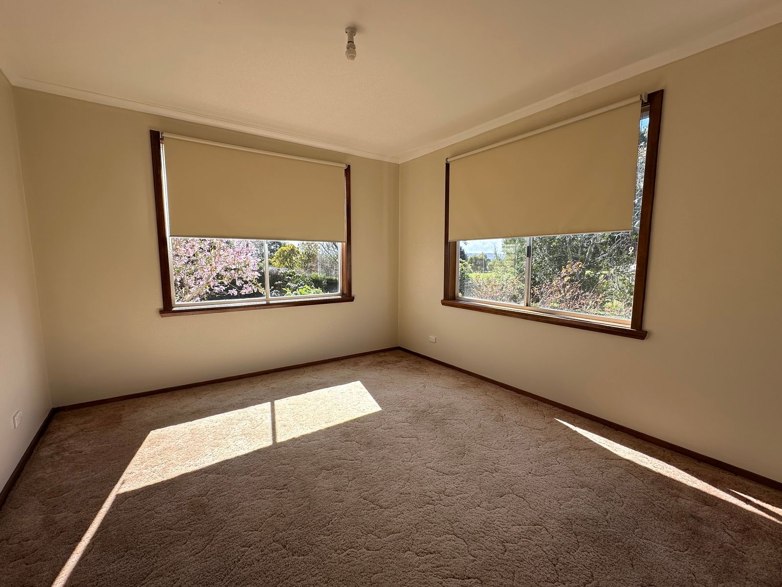 69 Masons Road,, Rosevears TAS 7277, Rosevears - Thumbnail 7