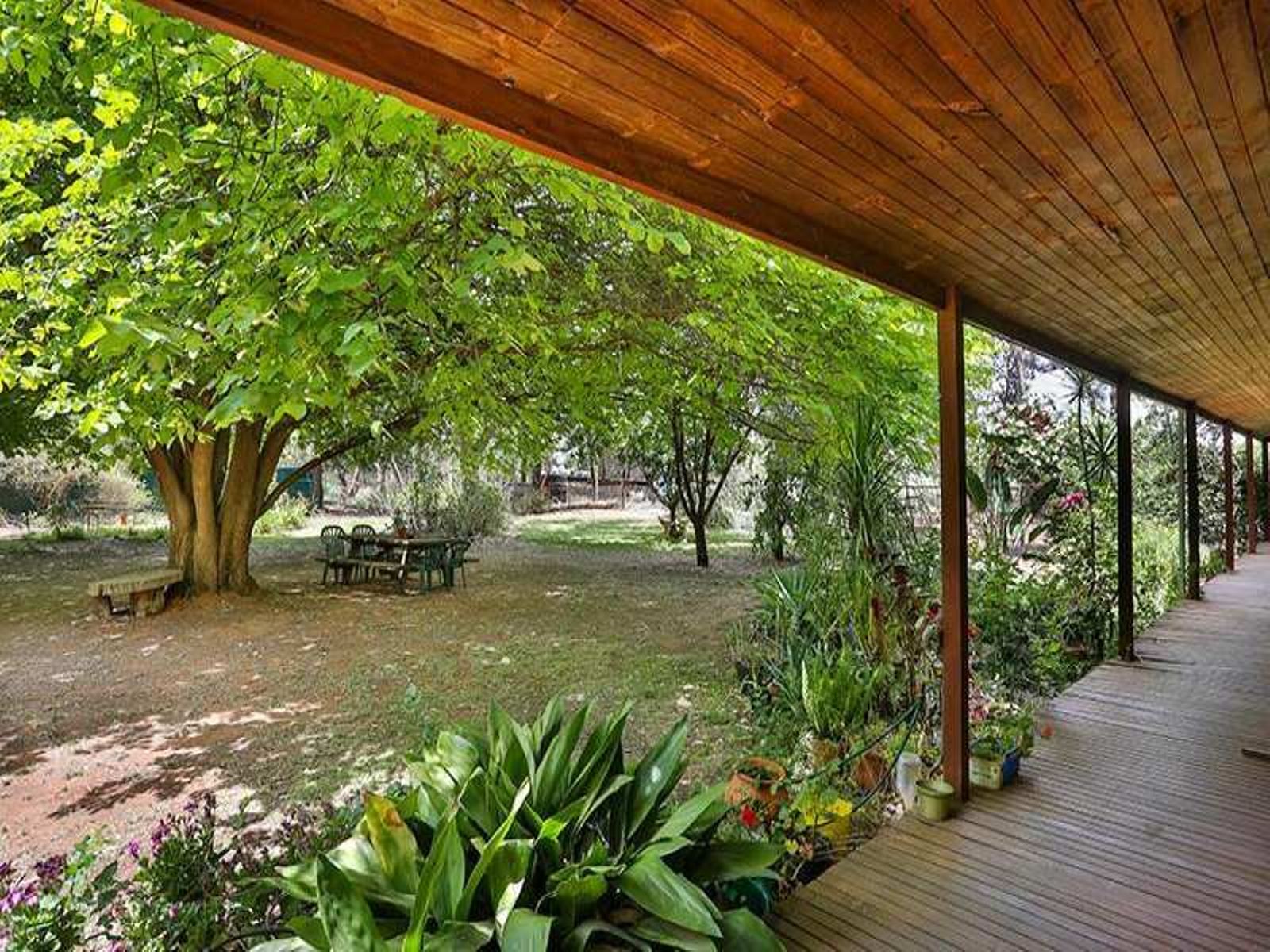 67 Coorong Avenue, Irymple - Thumbnail 4