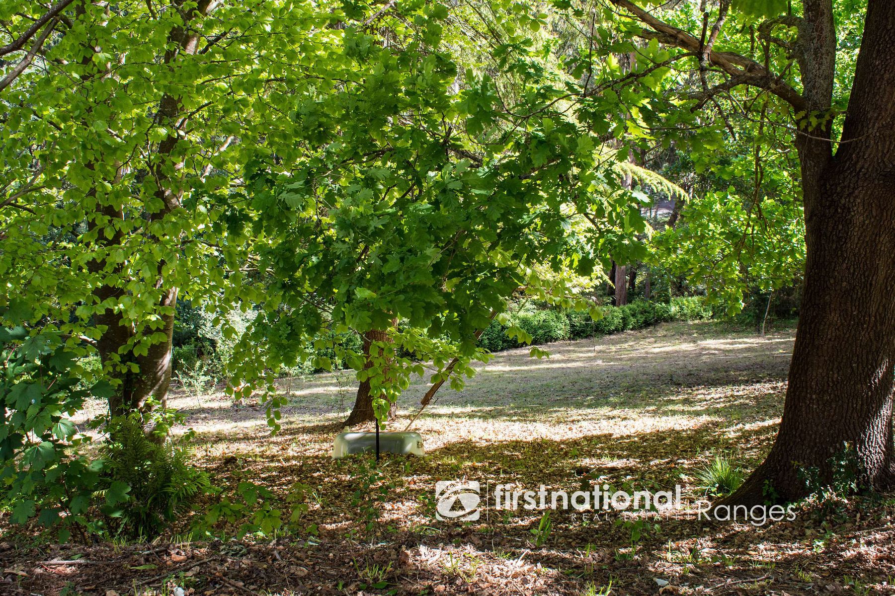 73 Emerald Creek Road, Monbulk VIC 3793, Monbulk - Thumbnail 4