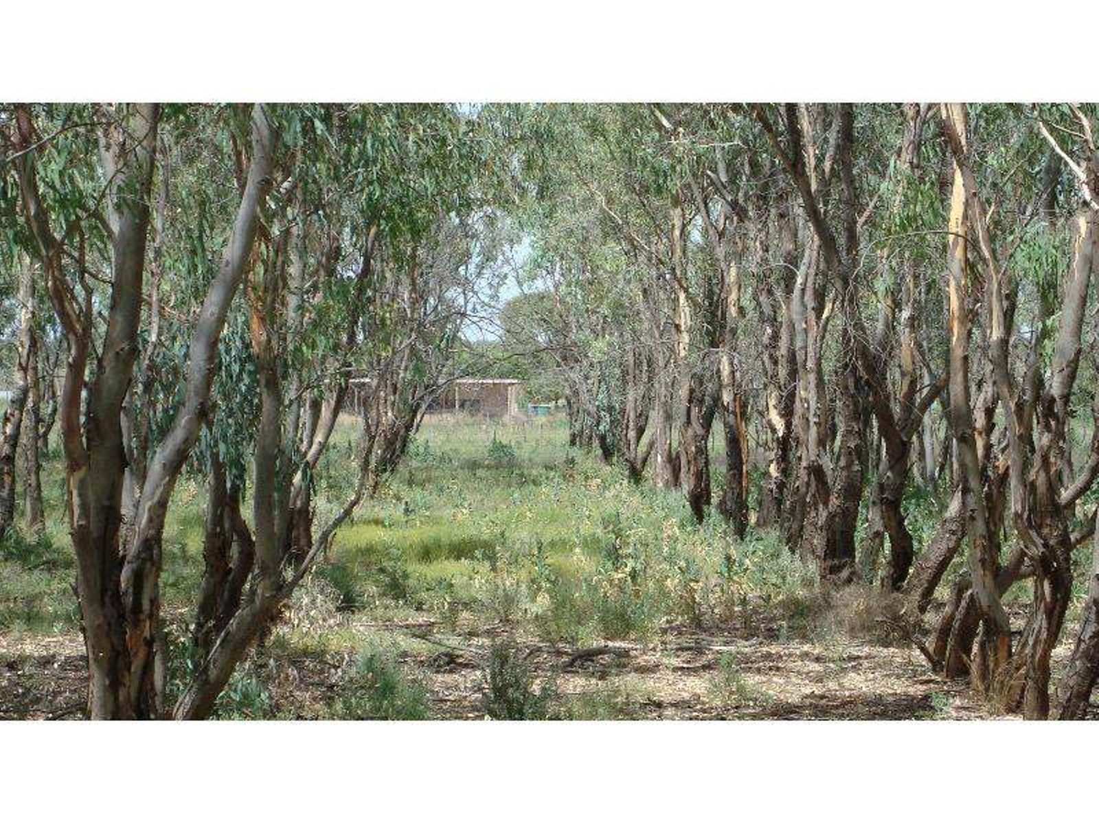 3550 San Mateo Avenue, Mildura - Thumbnail 3