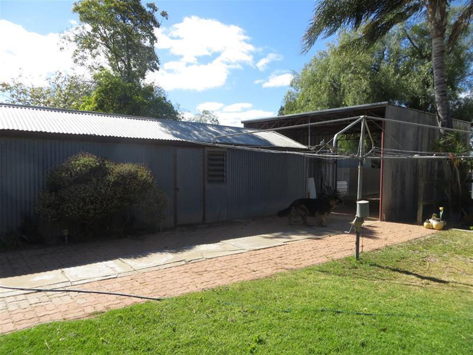 144 Commercial Street, Merbein - Thumbnail 7