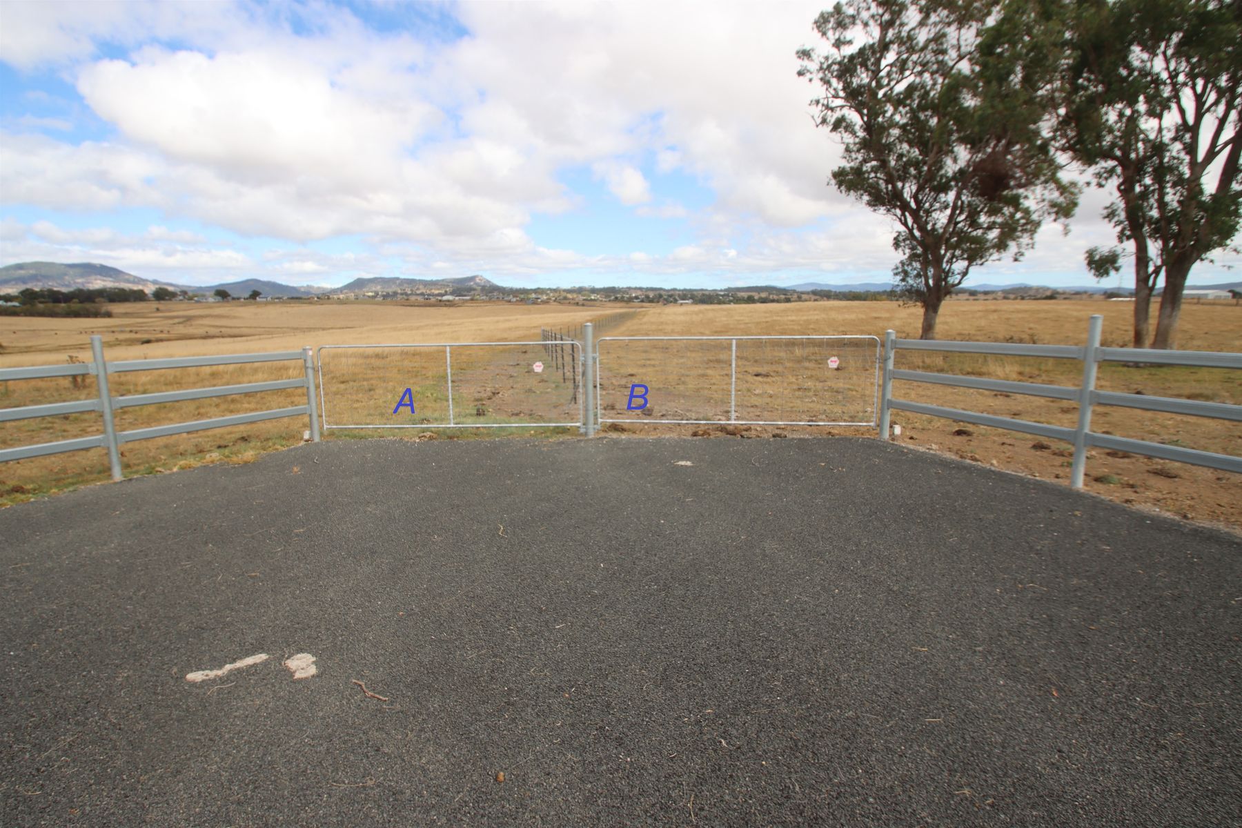 113B Bellevue Road, Tenterfield NSW 2372, Tenterfield - Image 1