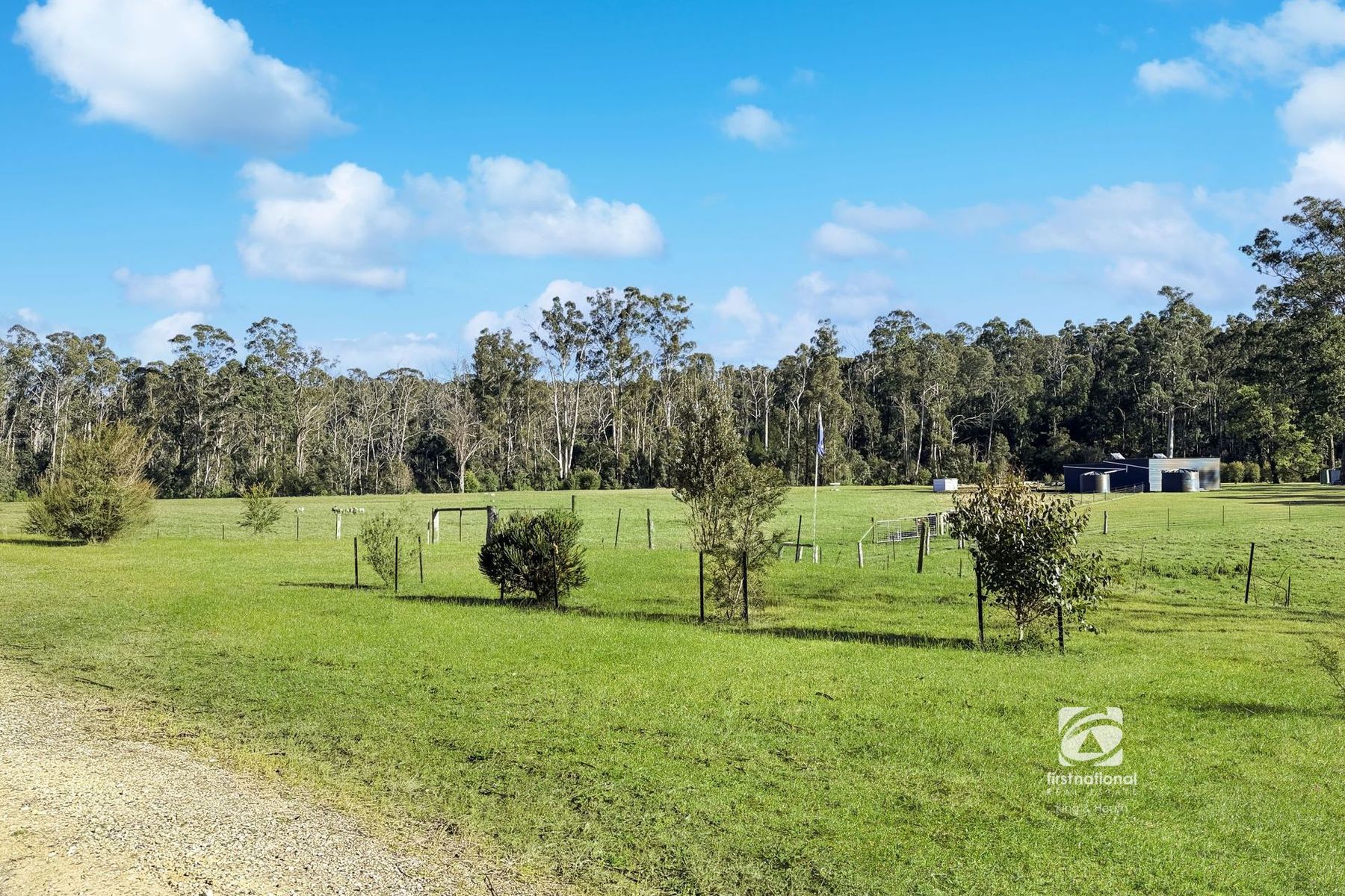 365 Bruthen-Buchan Road, Nowa Nowa VIC 3887, Nowa Nowa - Thumbnail 3