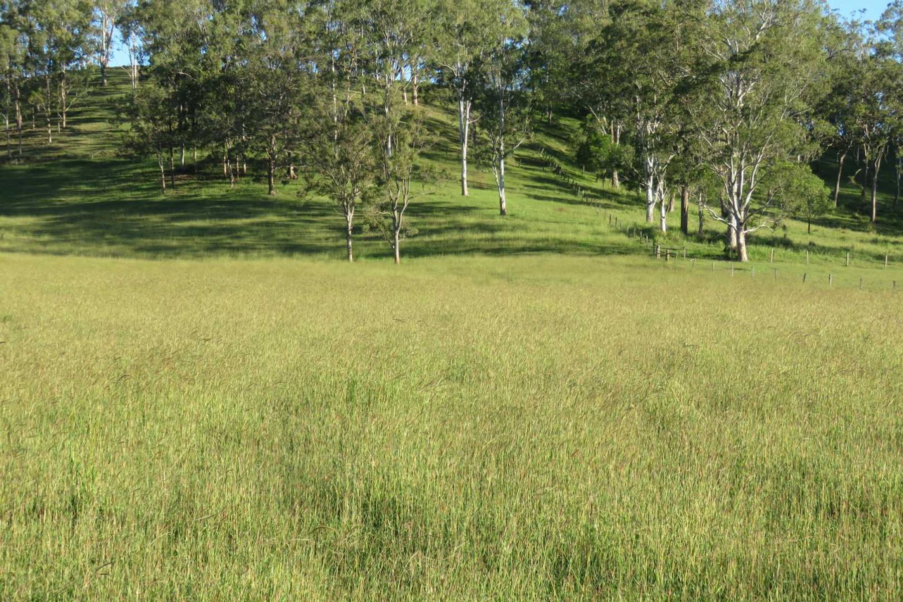 685 Spring Grove Road, Spring Grove, NSW 2470, Spring Grove - Thumbnail 7
