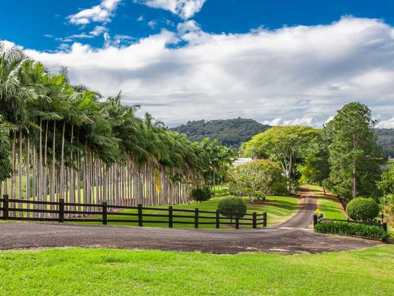 448 Binna Burra Road, Federal - Thumbnail 5