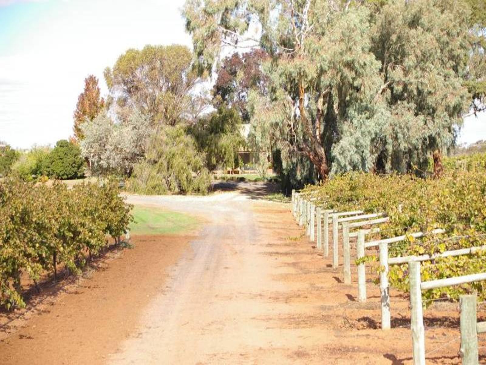 261 Red Cliffs Meringur Road, Red Cliffs - Thumbnail 3