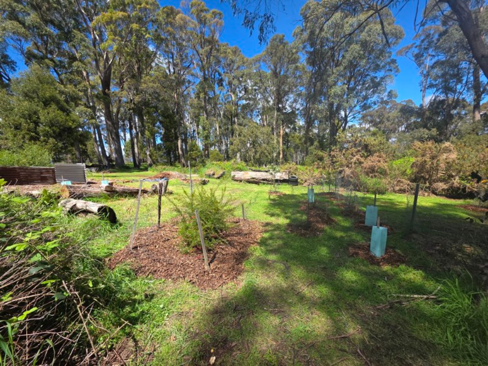 Mole Creek TAS 7304, Mole Creek - Thumbnail 4