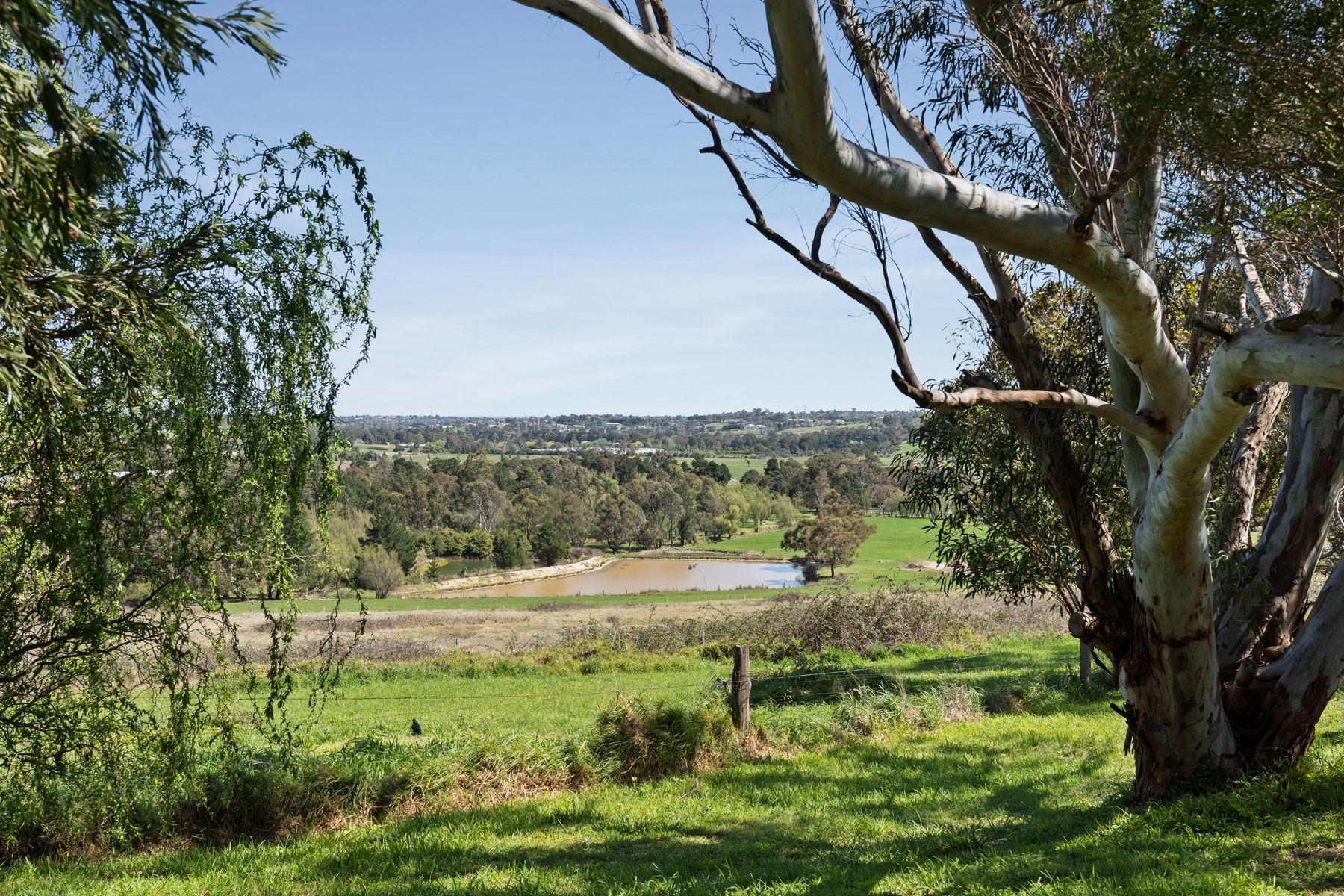 35-45 Aurisch Drive, Narre Warren North, Narre Warren North - Thumbnail 7