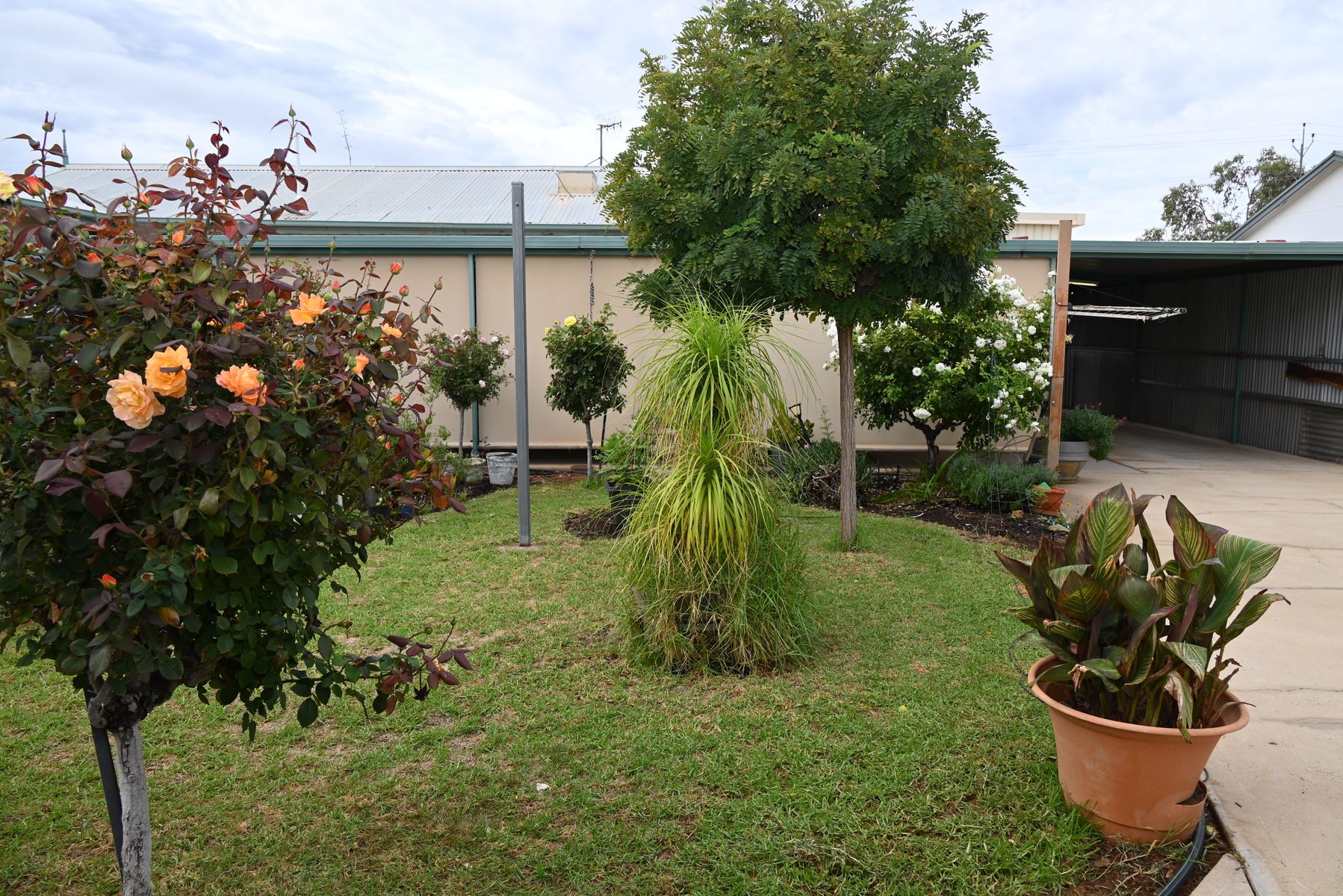6 Gouge Street, Morgan SA 5320, Morgan - Thumbnail 2