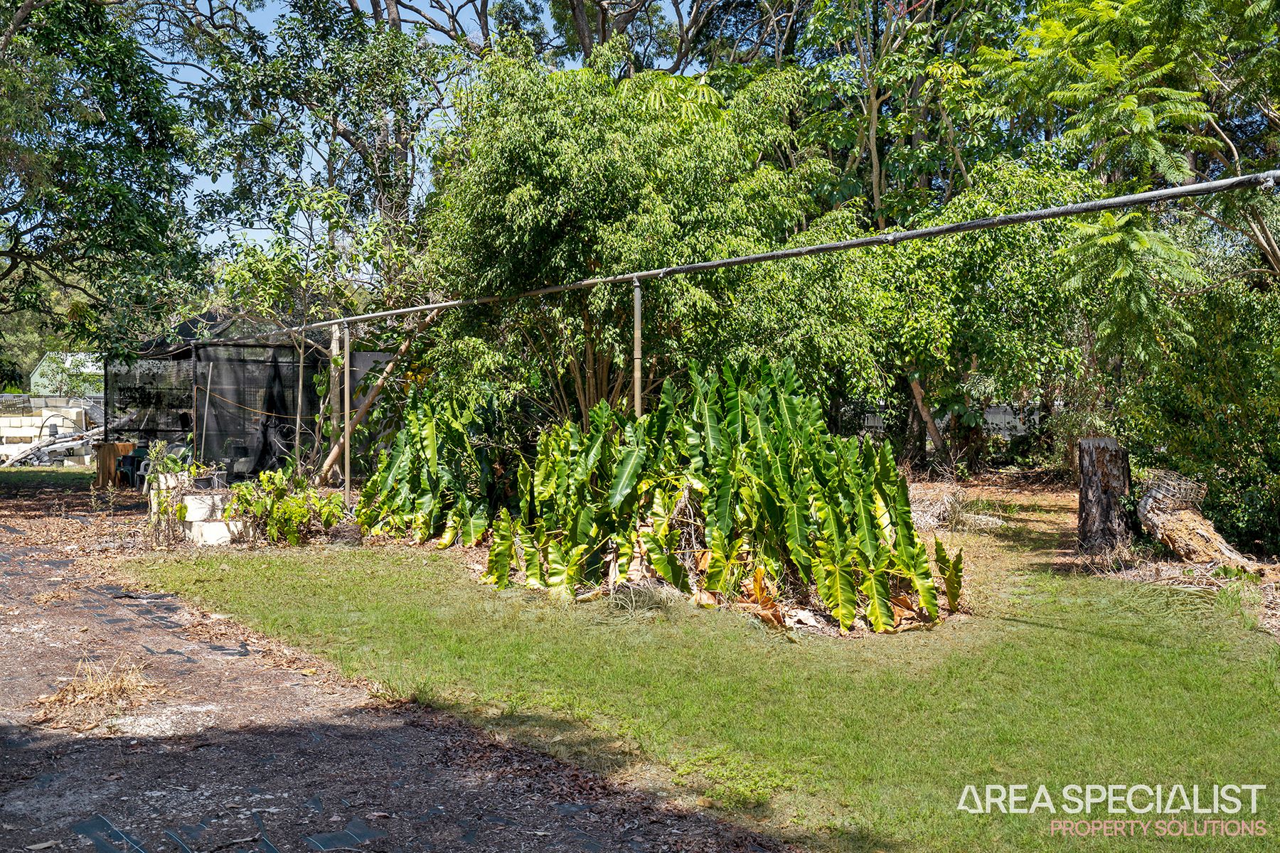17 Pelican Parade, Jacobs Well, QLD 4208, Jacobs Well - Thumbnail 7