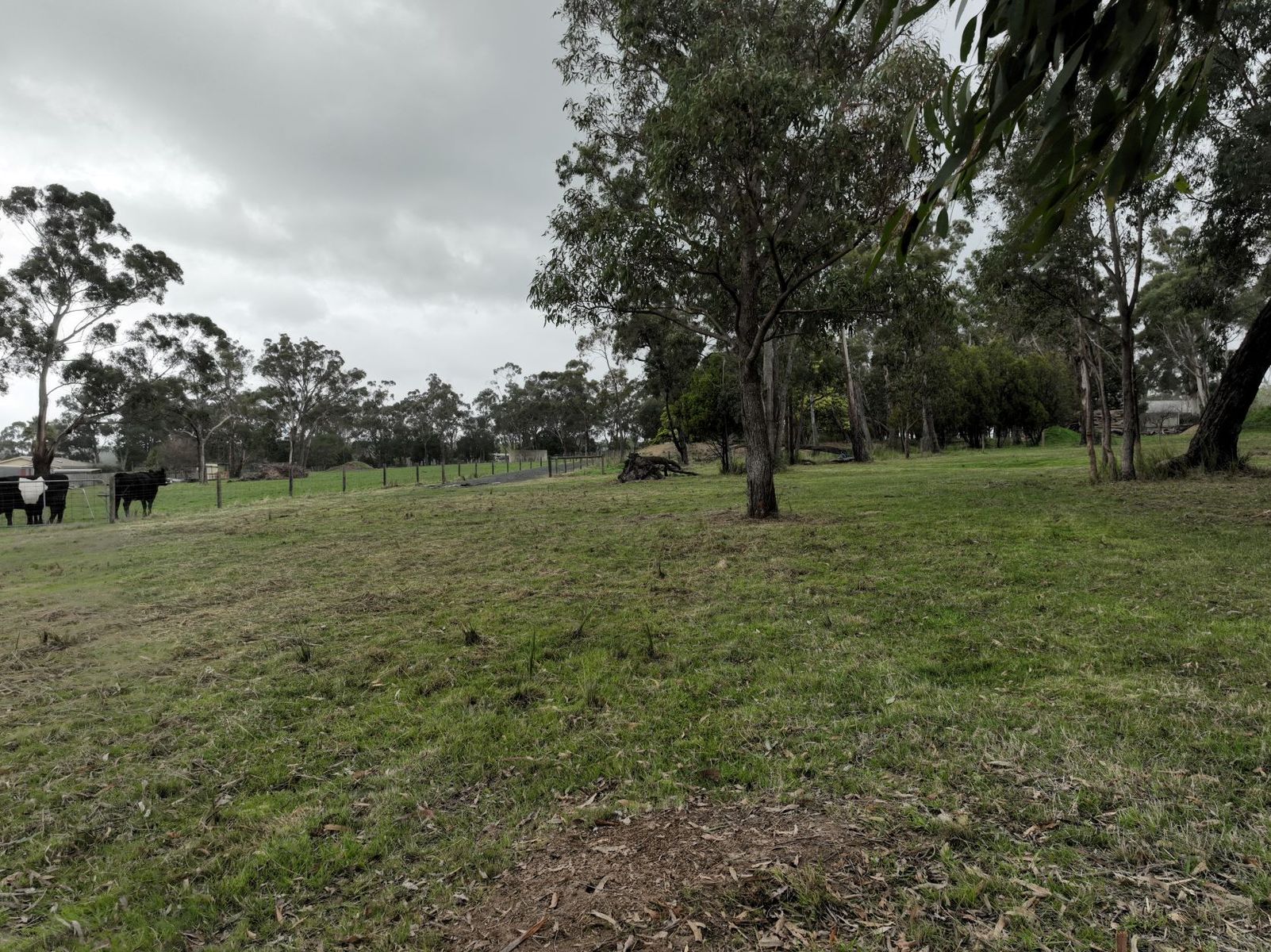 102 Jeeralang North Road, Hazelwood North, VIC 3840, Hazelwood North - Thumbnail 8