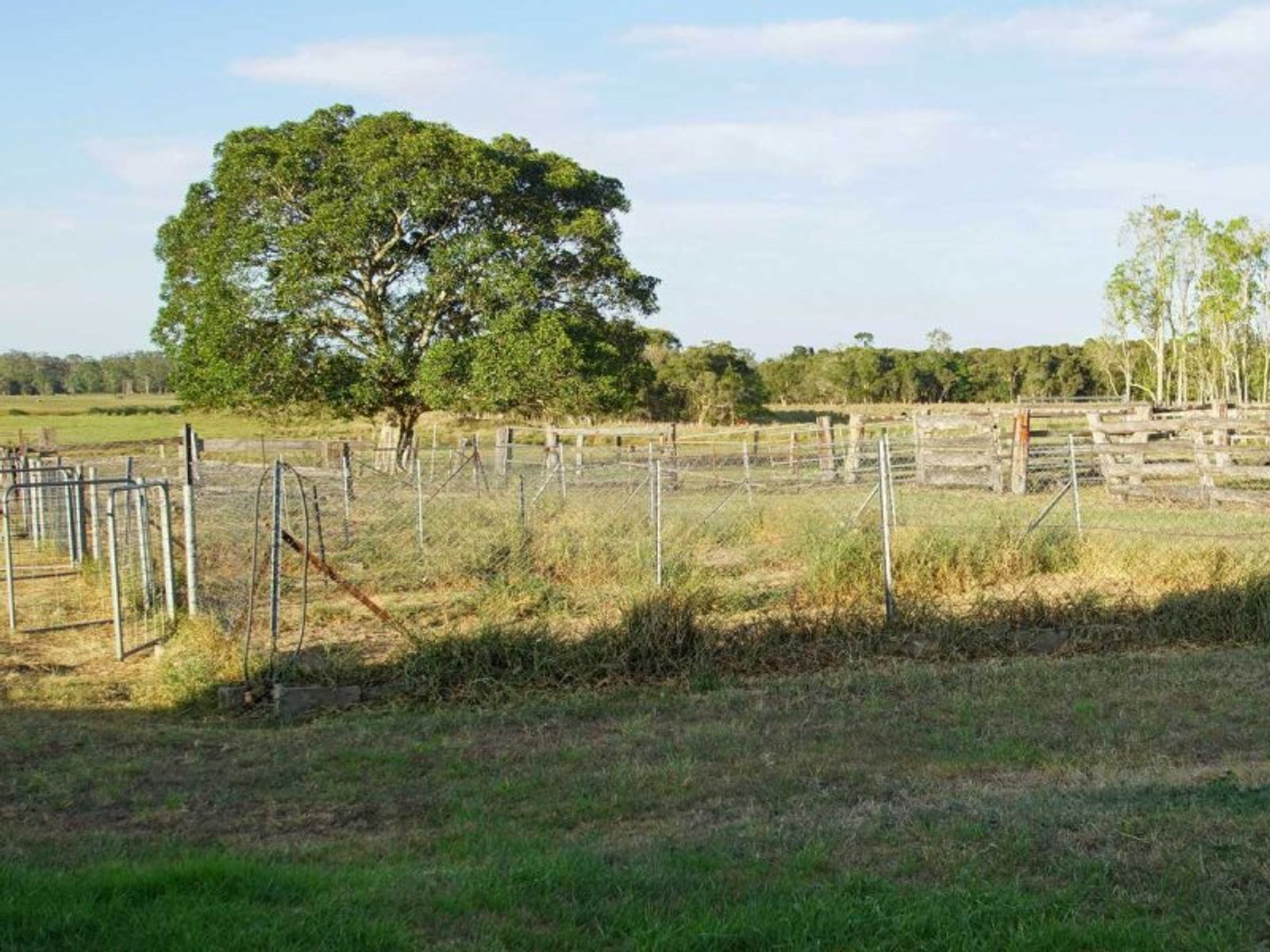 25 Murphys Road, Yorklea - Thumbnail 8