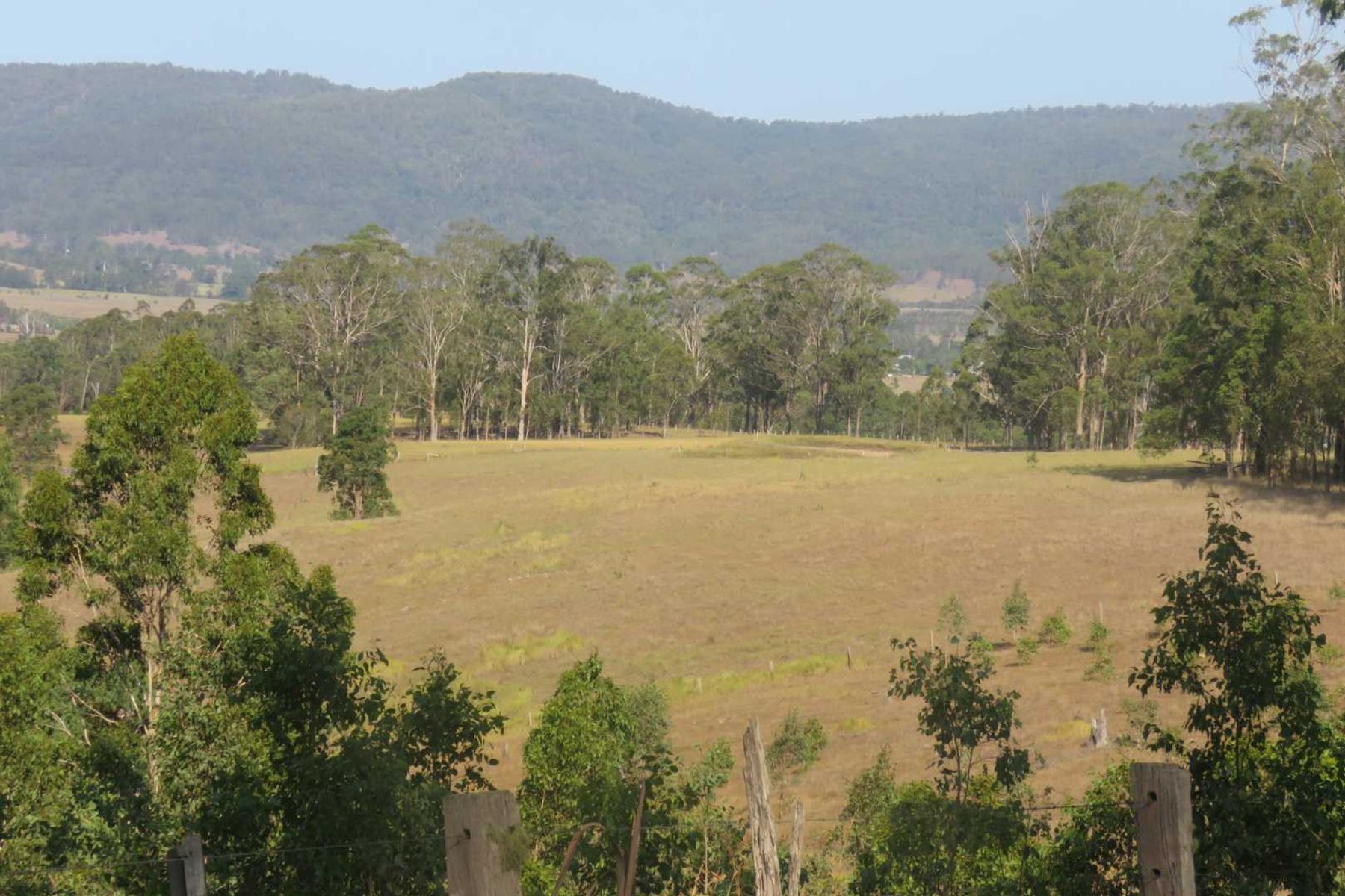 497 Yabbra Road, Yabbra, NSW 2469, Yabbra - Thumbnail 4