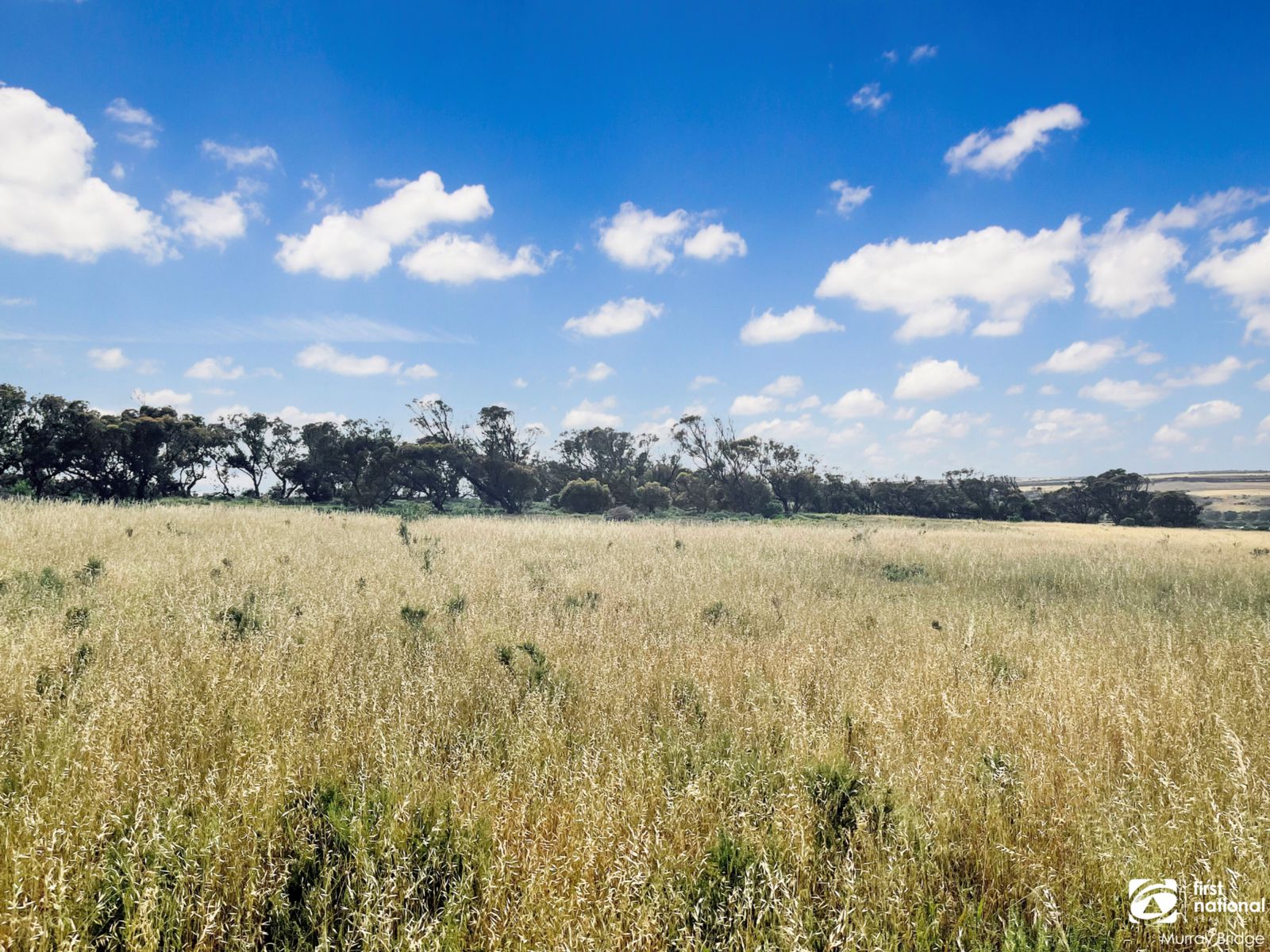 Lightbox Image