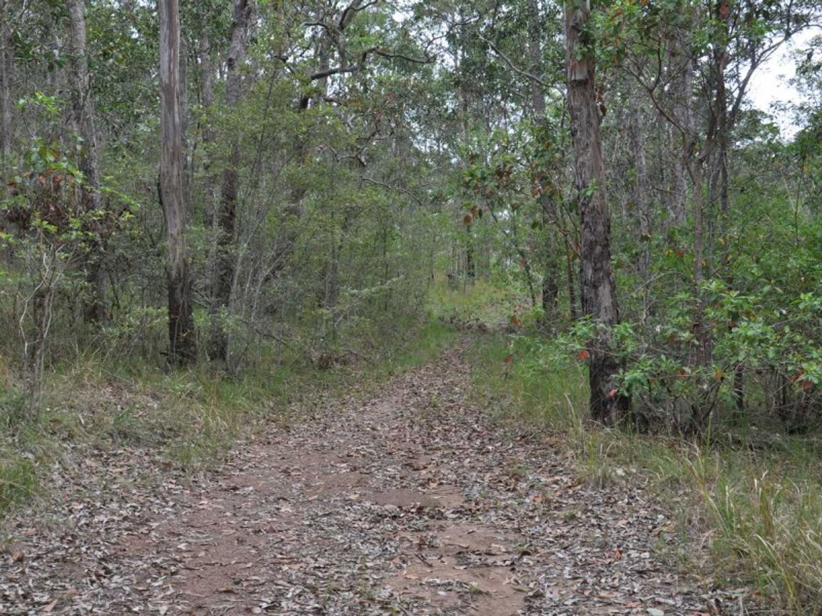 Bruxner Road NSW 2469, Bruxner Road - Thumbnail 6
