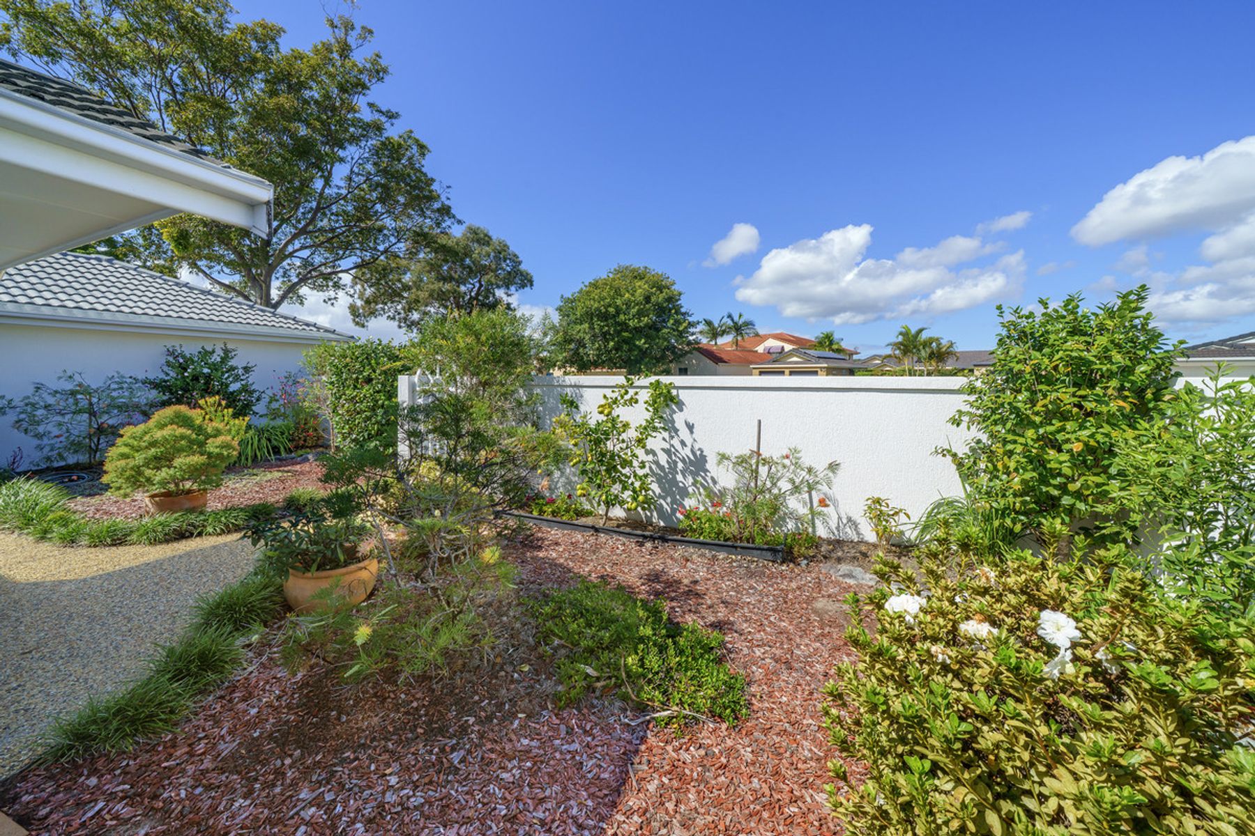 12 Commodore Crescent, Port Macquarie NSW 2444, Port Macquarie - Thumbnail 8