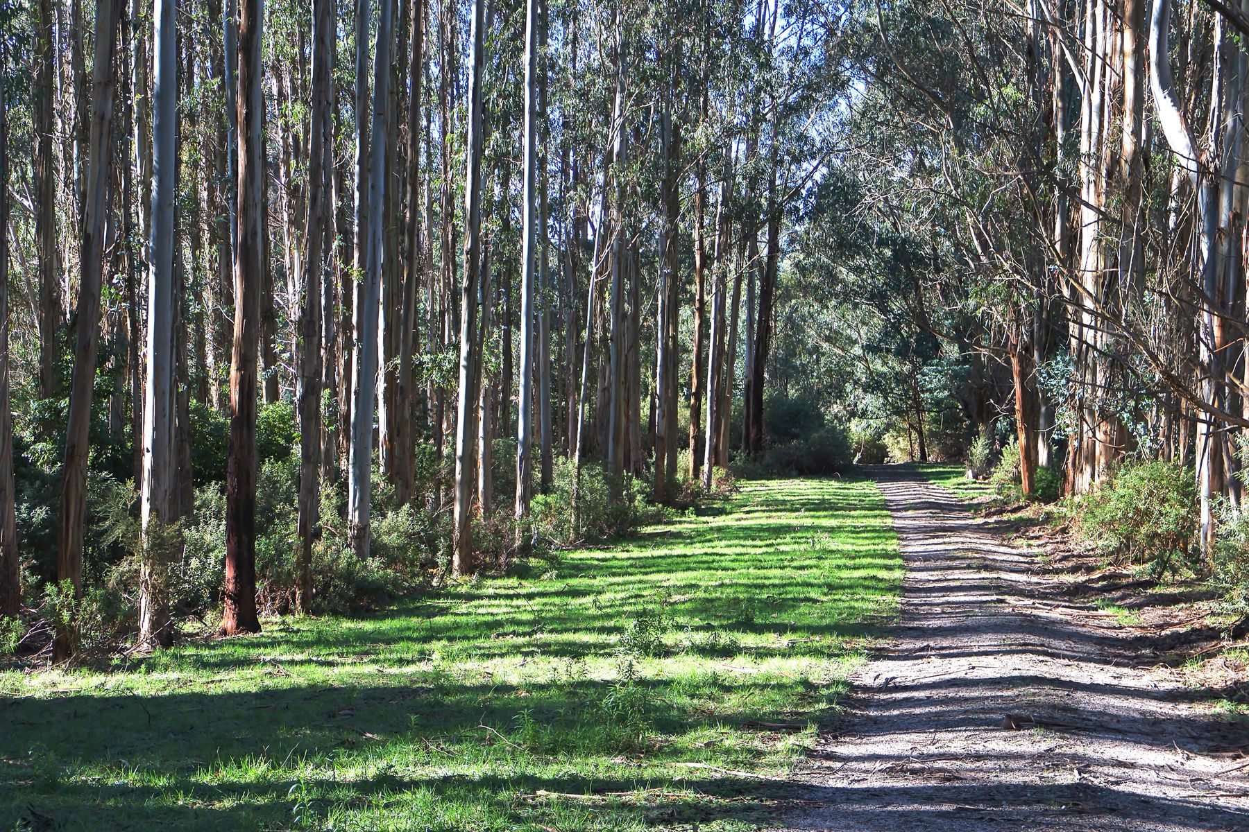 606 Woomera Creek Road, Toora North VIC 3962 - Image 1