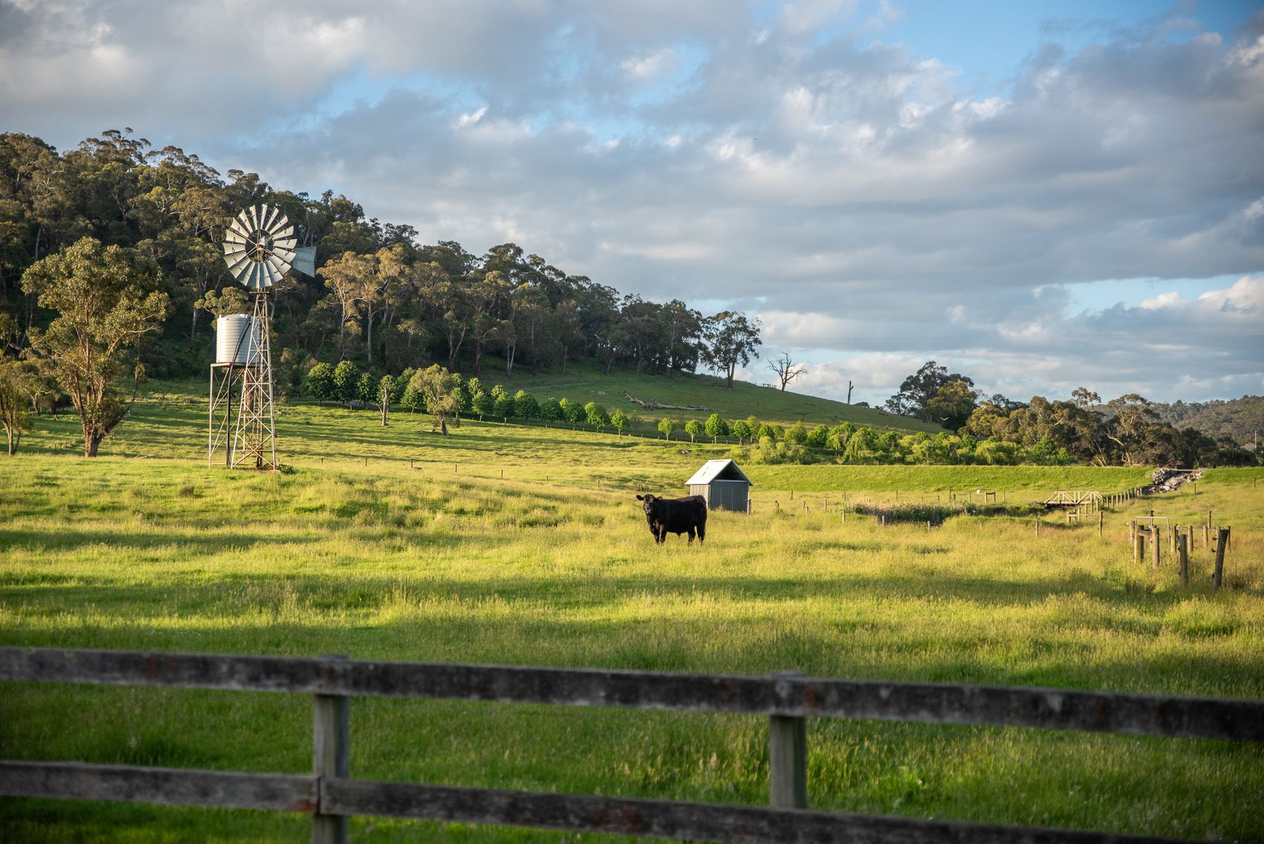 13 Grand Ridge Way, Sunbury, Sunbury - Thumbnail 6