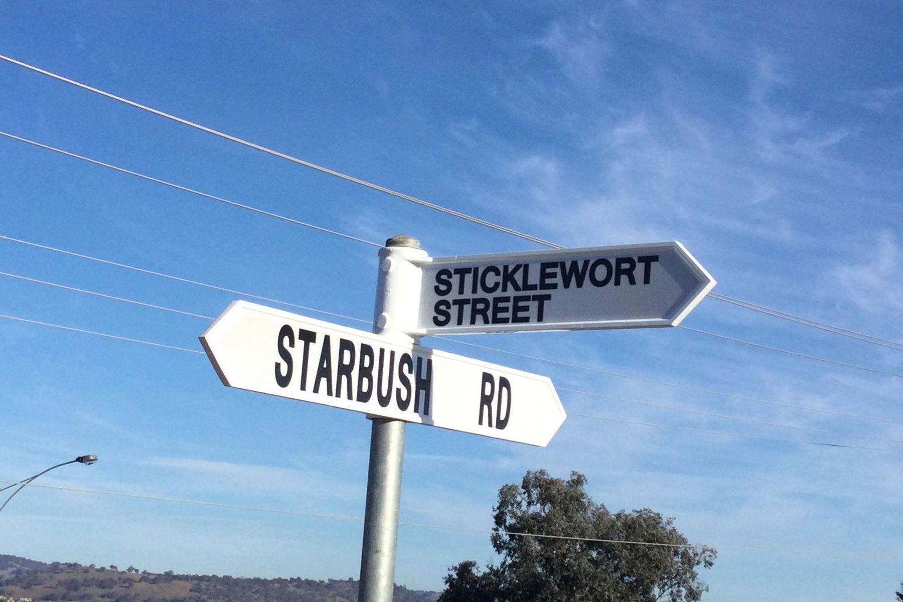 3 Sticklewort Street, Wodonga VIC 3690, Wodonga - Thumbnail 4