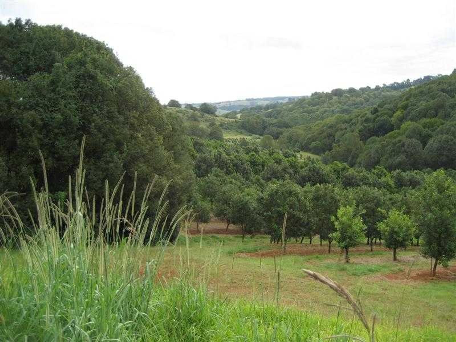 15a (Lot 1) Walker Street, Clunes - Thumbnail 8