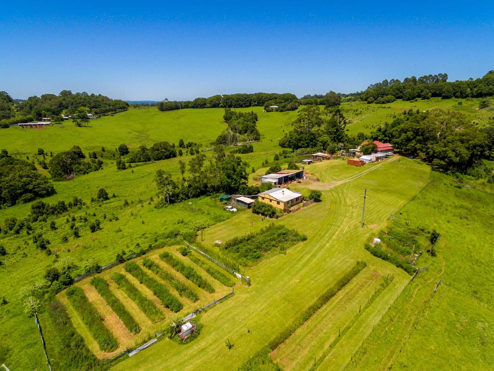 498 Binna Burra Rd, Federal - Thumbnail 7