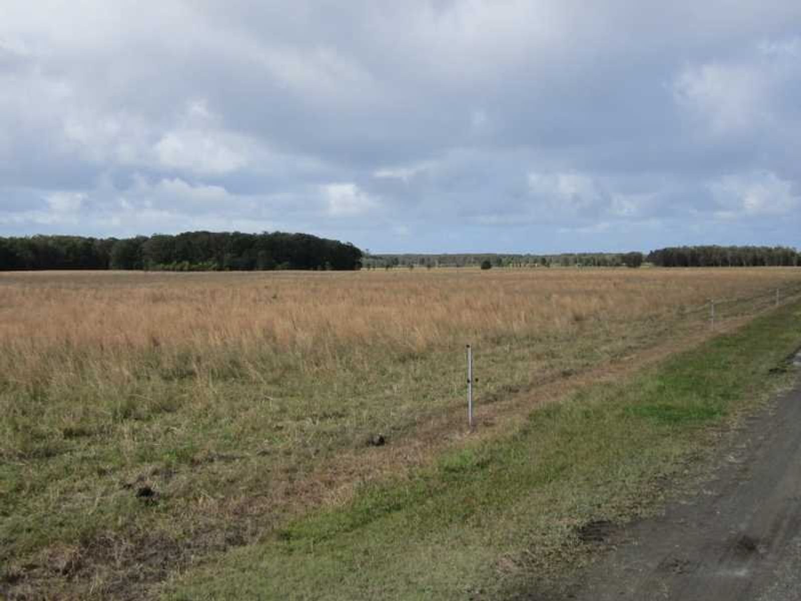 Lot 4 DP1034816 Newrybar Swamp Road, Lennox Head - Thumbnail 7