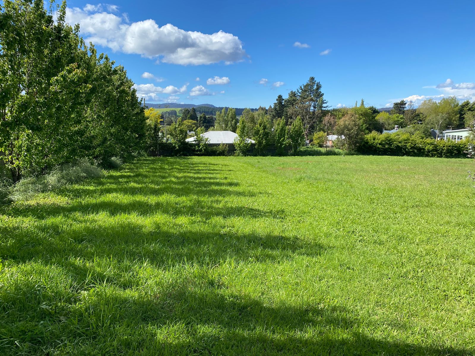 16 East Westbury Place,, Deloraine TAS 7304, Deloraine - Thumbnail 3