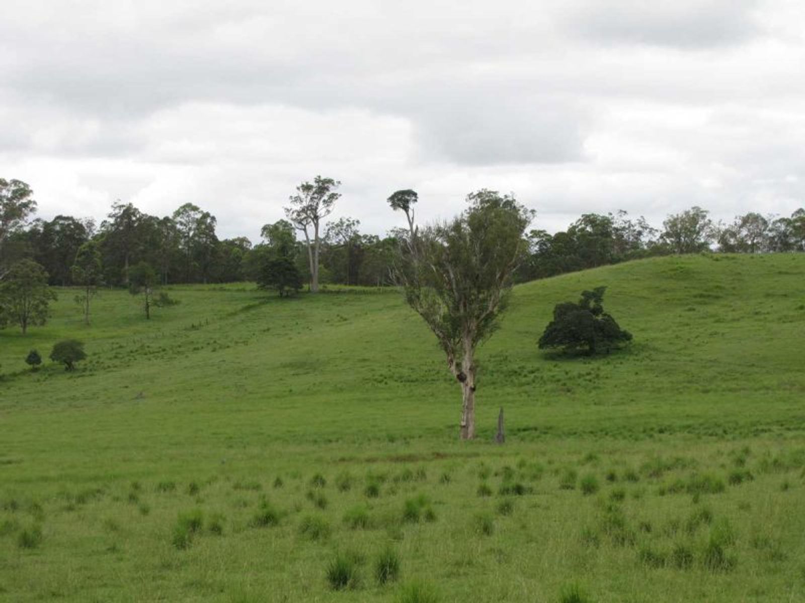925 Naughtons Gap Rd, Bentley - Thumbnail 8