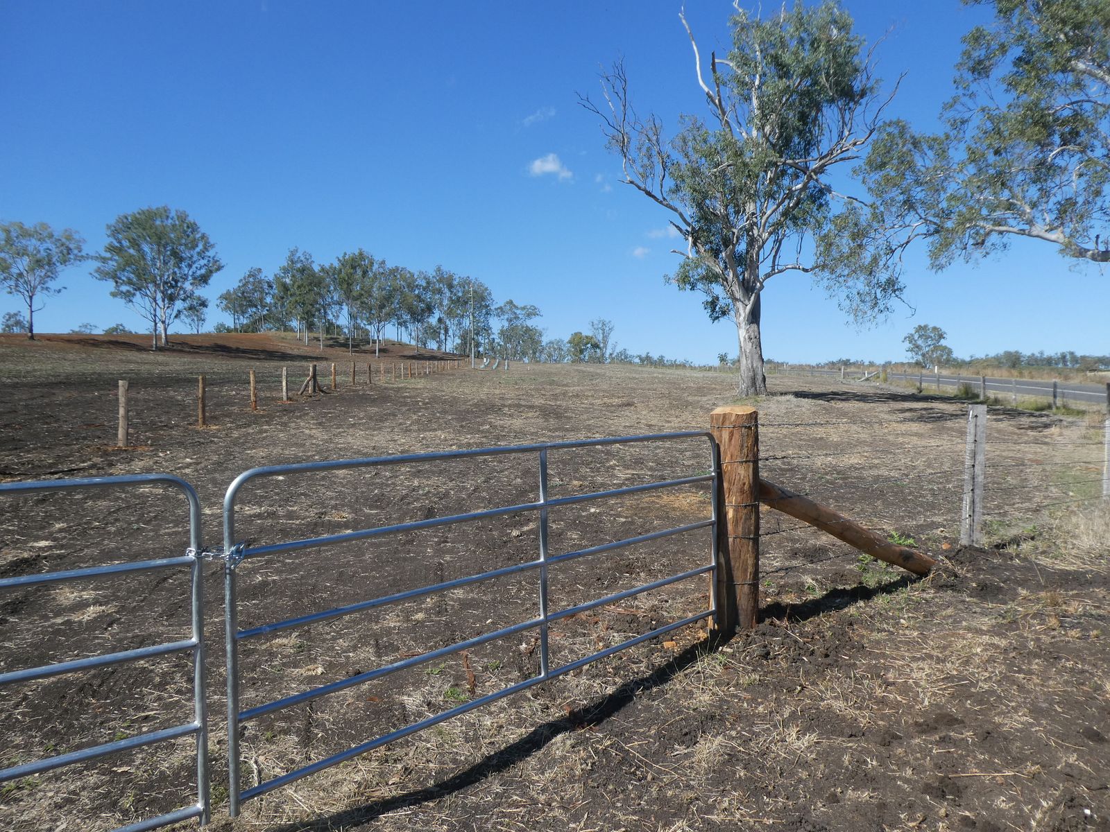Lot 23 Walla Road, Morganville QLD 4671, Morganville - Thumbnail 7