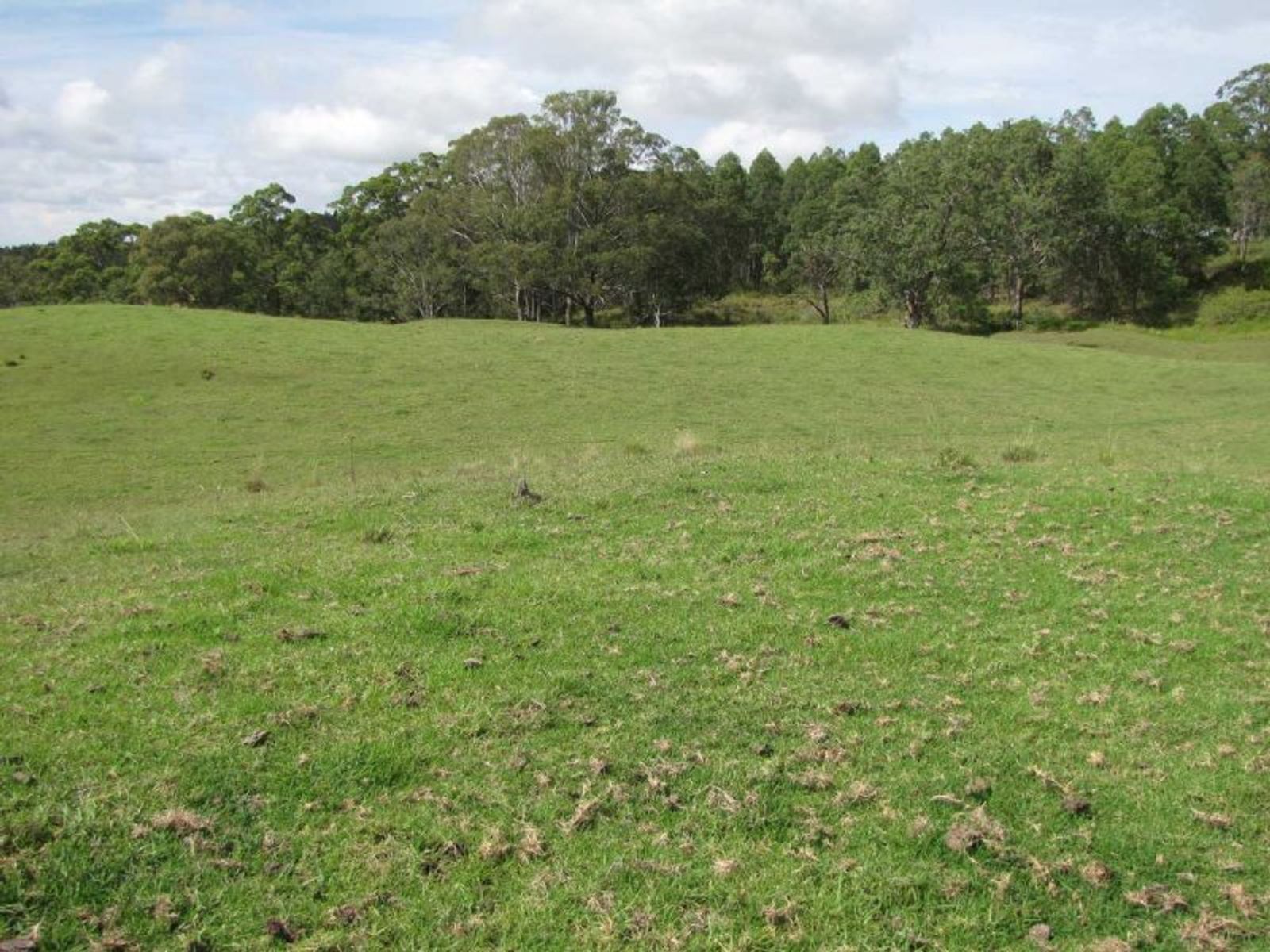 21 Grimstons Road, Theresa Creek - Thumbnail 8