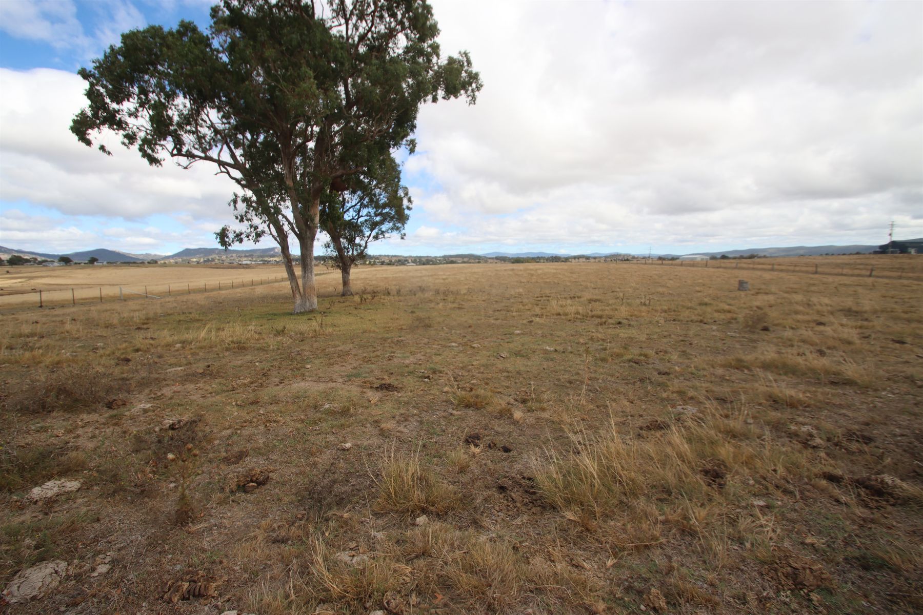 113B Bellevue Road, Tenterfield NSW 2372, Tenterfield - Thumbnail 6