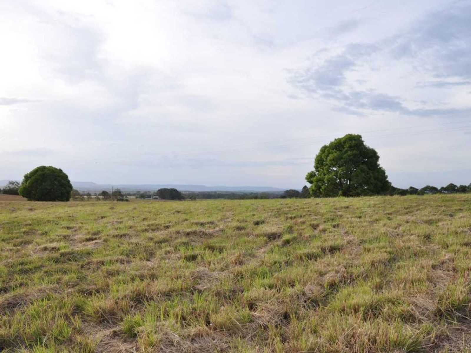 3 View St, Fairy Hill - Thumbnail 4