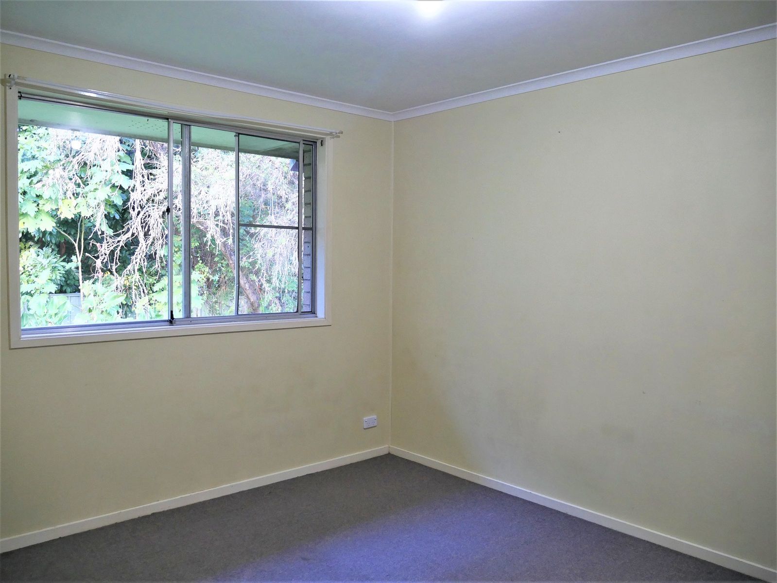 4/75 Leycester Street, Lismore NSW 2480, Lismore - Thumbnail 3