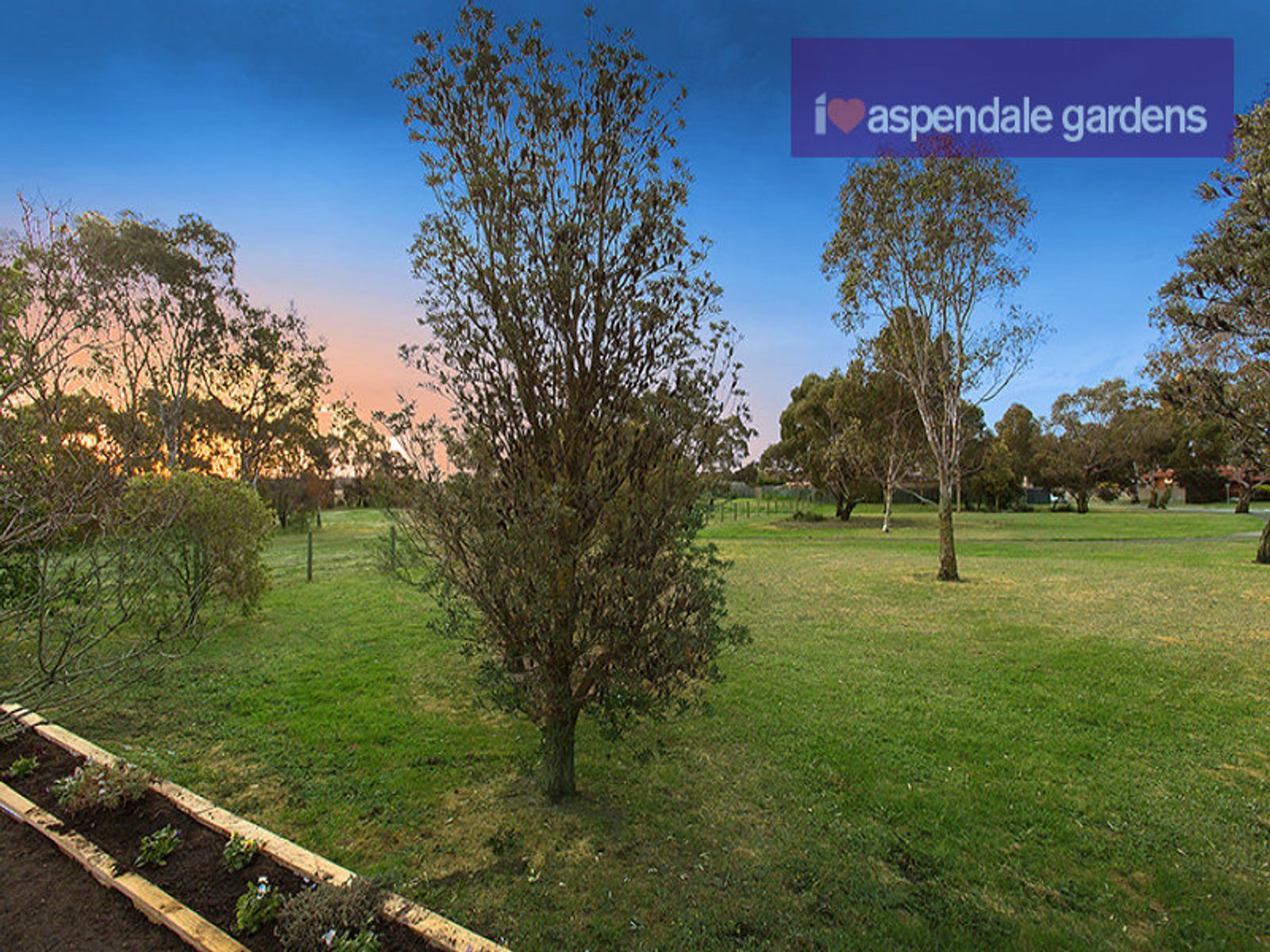 3 O'Donnell Close, Aspendale Gardens, VIC 3195, Aspendale Gardens - Thumbnail 8