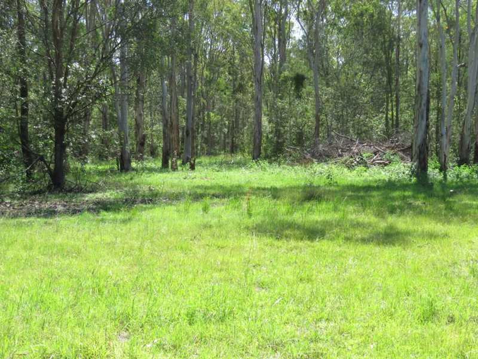 10 Elliots Road, Myrtle Creek, NSW 2469, Myrtle Creek - Thumbnail 4