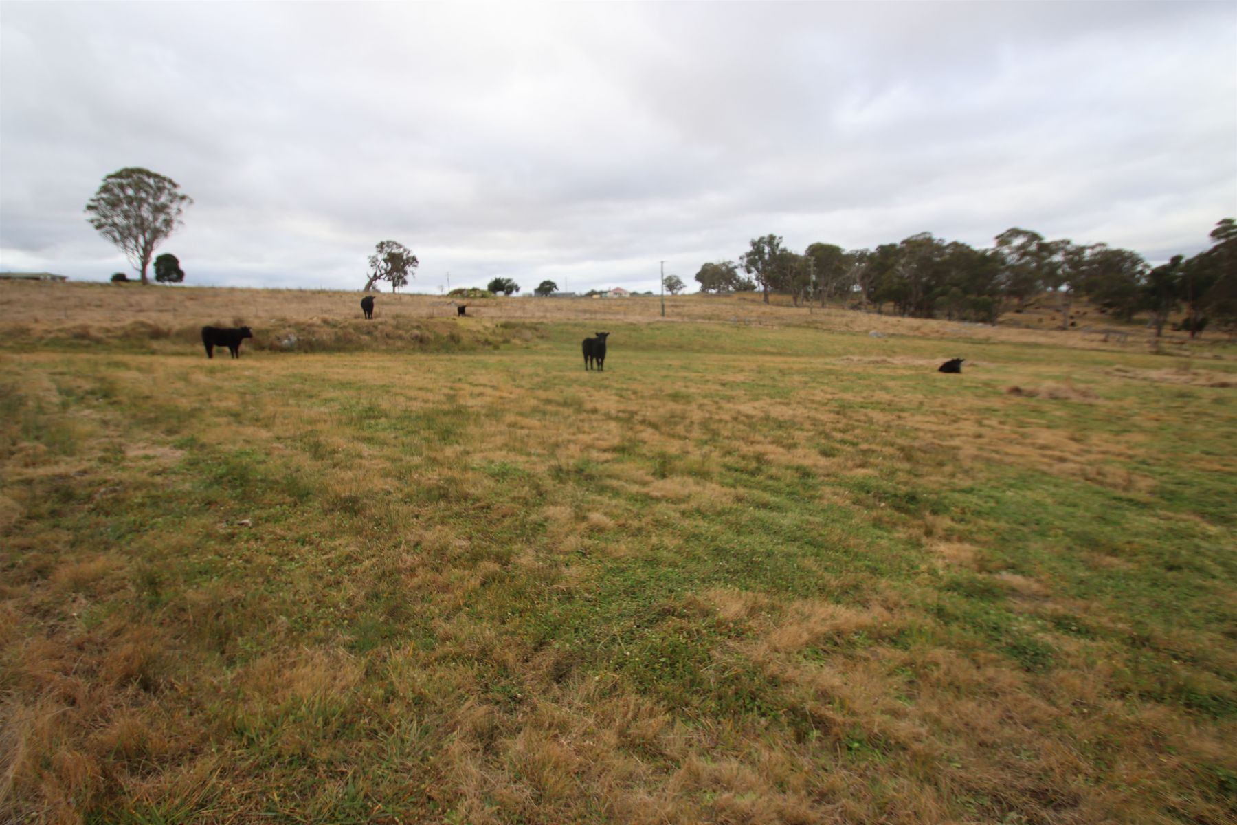 112 Sunnyside Loop Road, Tenterfield NSW 2372, Tenterfield - Thumbnail 6