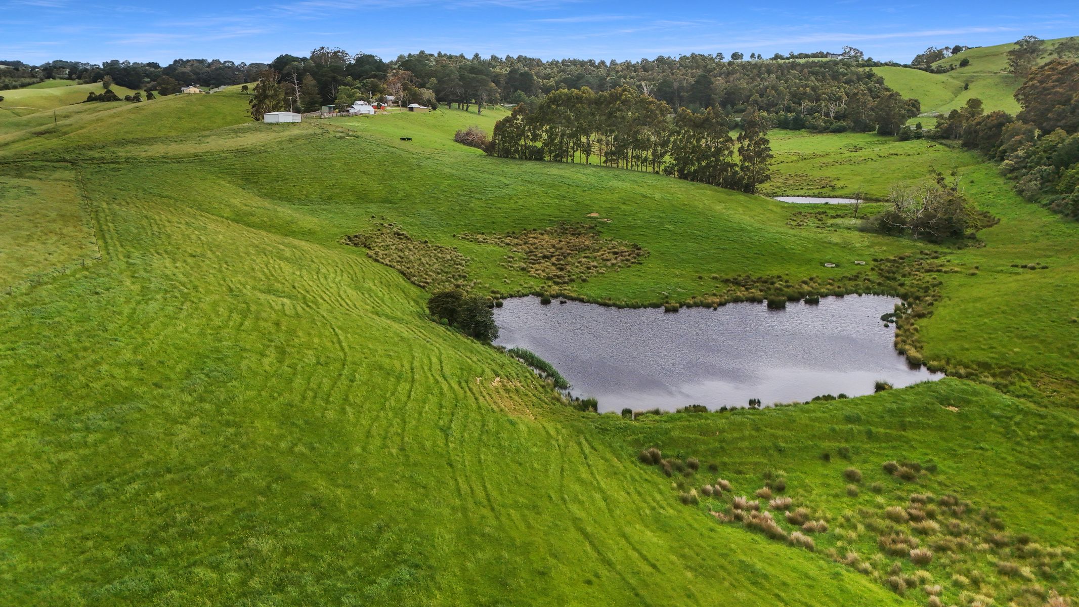 3015 South Gippsland Highway, Stony Creek, Stony Creek - Thumbnail 2