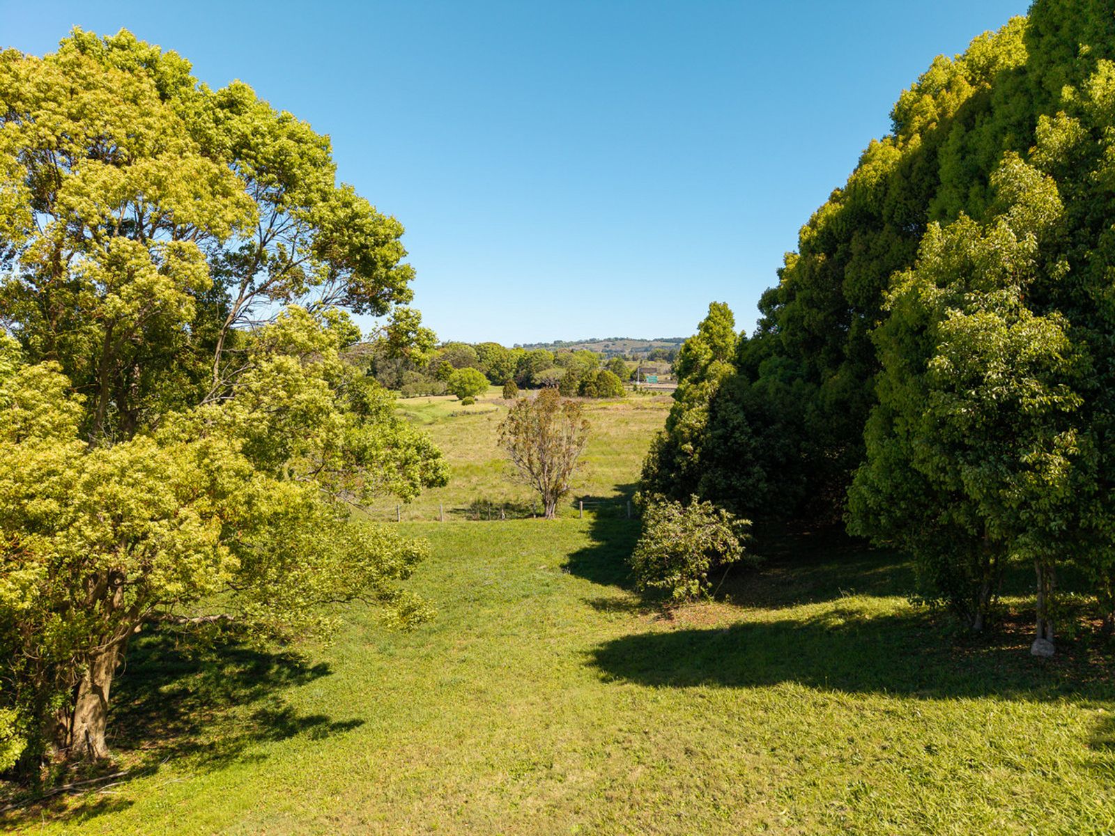 242 Woodford Lane, Ewingsdale - Image 1
