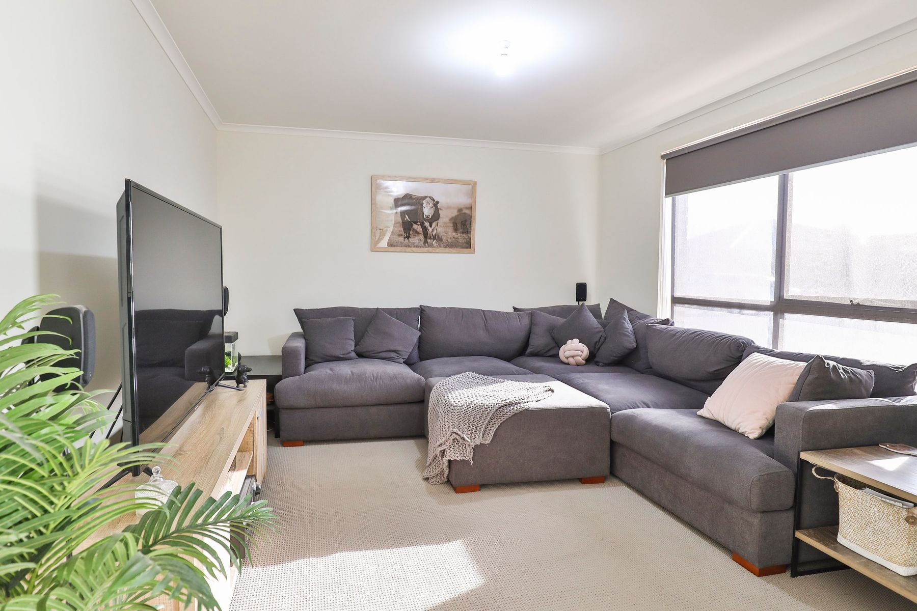 49 Montana Drive, Mildura - Thumbnail 6
