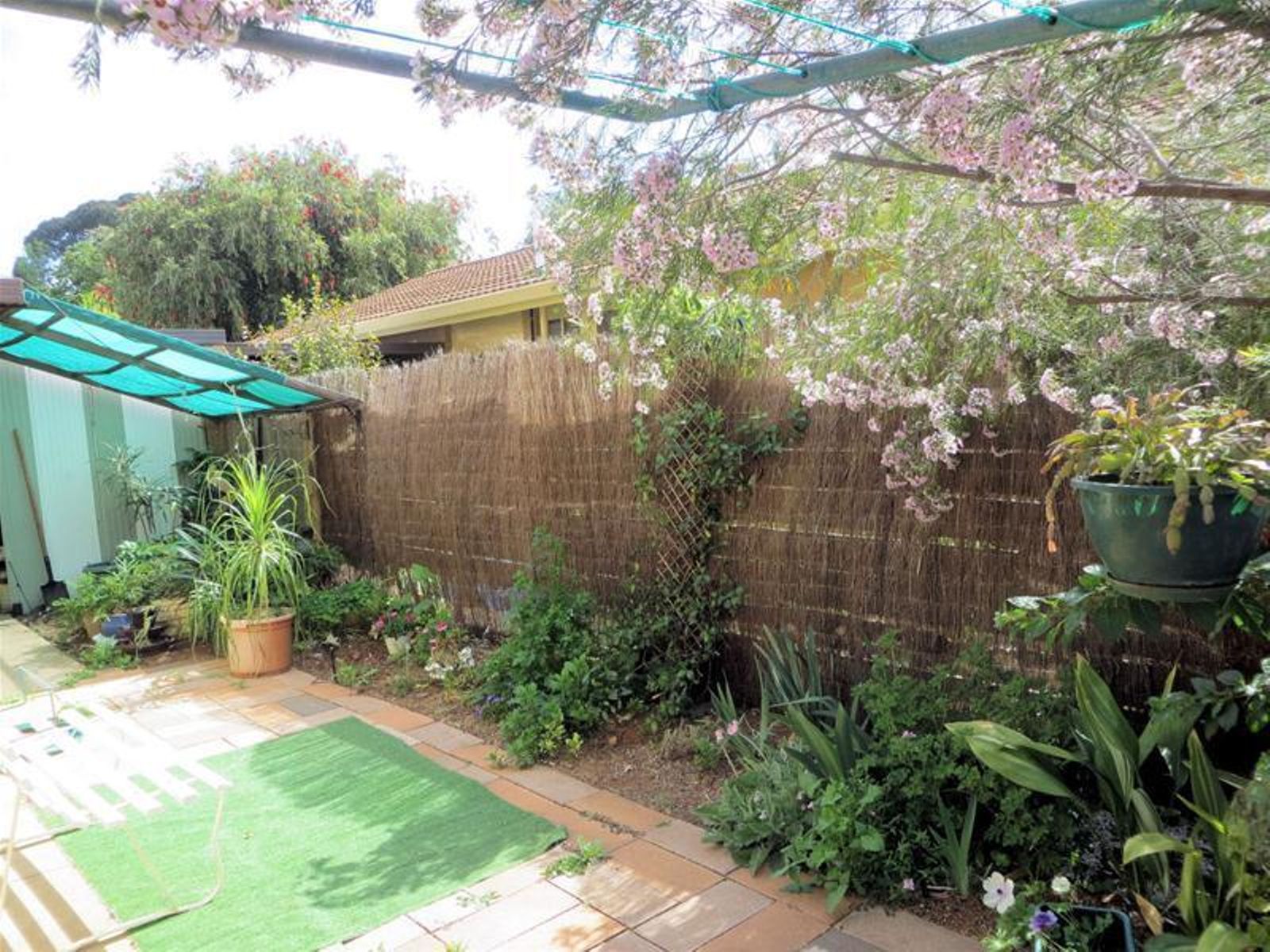 2 Boronia  Court, Mildura - Thumbnail 8