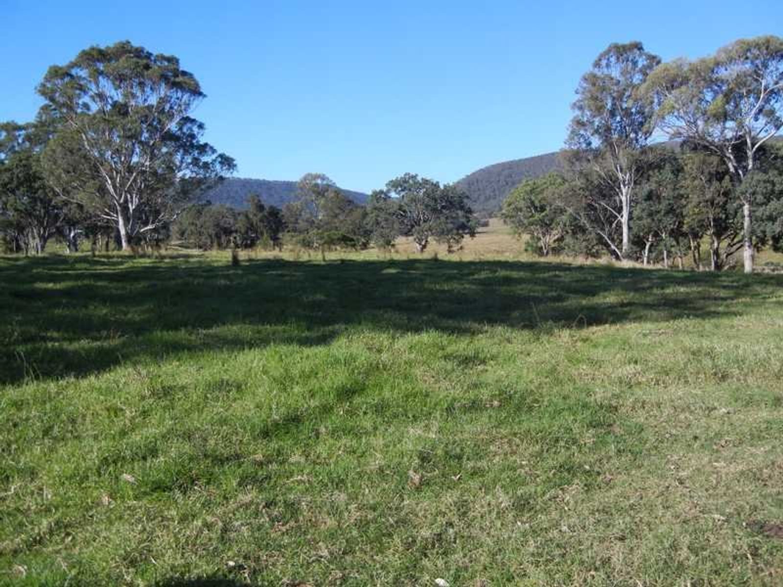 273 Killarney Road, Legume - Thumbnail 8