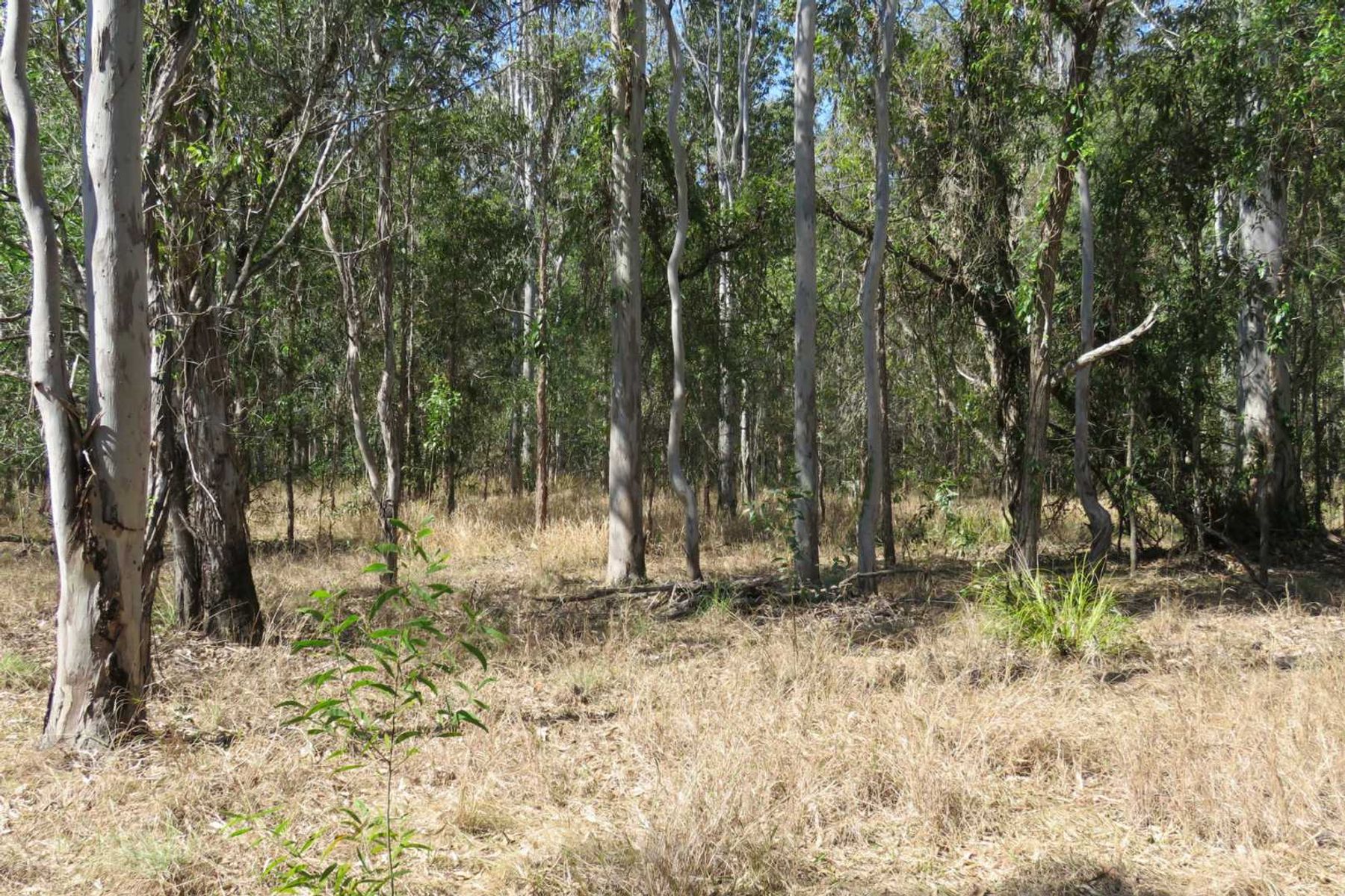 770 Elliots Road, Myrtle Creek, NSW 2469, Myrtle Creek - Thumbnail 6