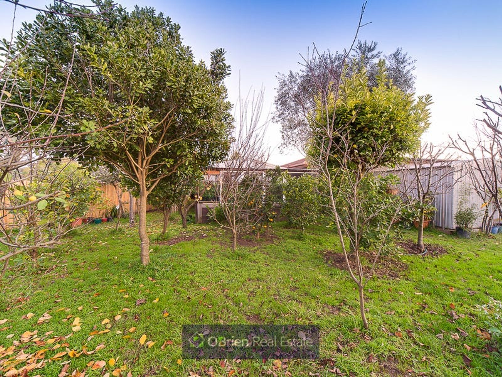 6 Lomond Court, Endeavour Hills, VIC 3802, Endeavour Hills - Thumbnail 8
