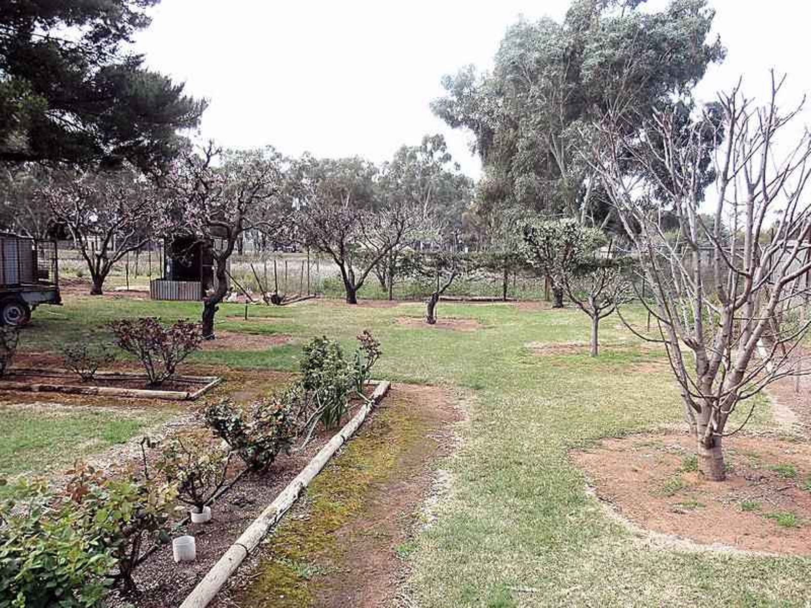 32 Living Drive, Merbein - Thumbnail 4