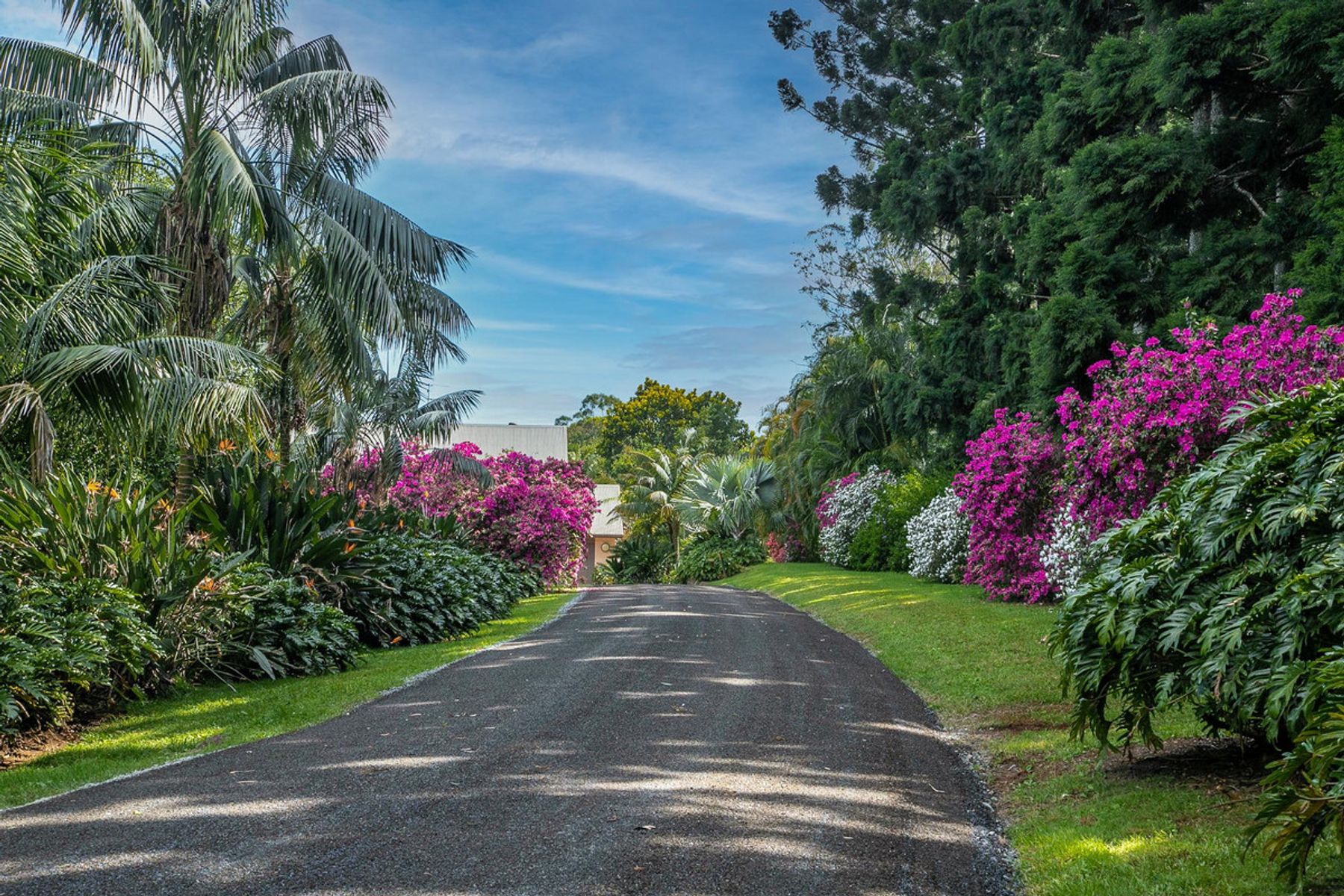 517 Friday Hut Road, Brooklet NSW 2479, Brooklet - Thumbnail 4