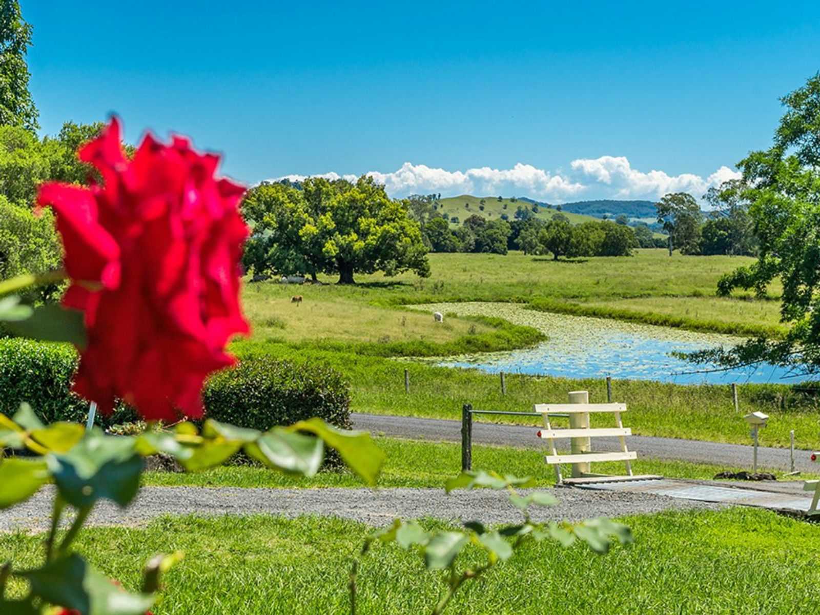 166 Keerong Rd, Blakebrook - Thumbnail 5