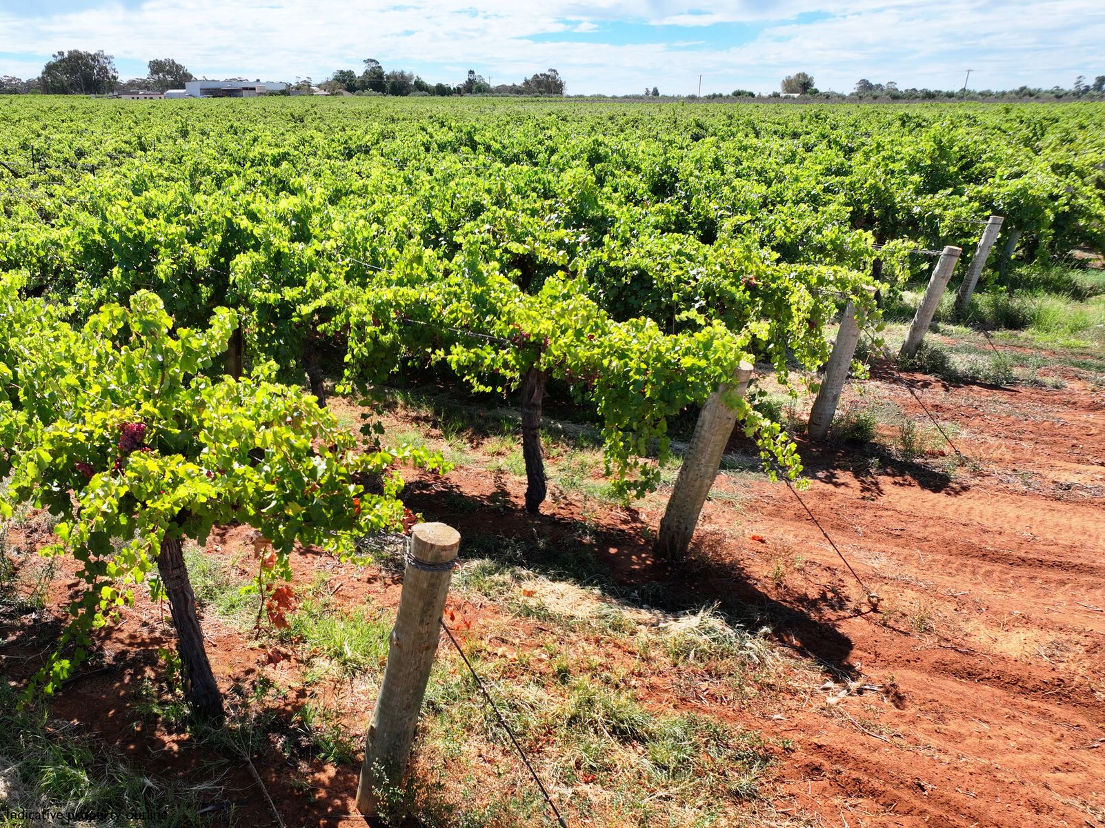 LOT 8, 16 BEADELL Street, Burton SA 5110, Merbein South - Thumbnail 4