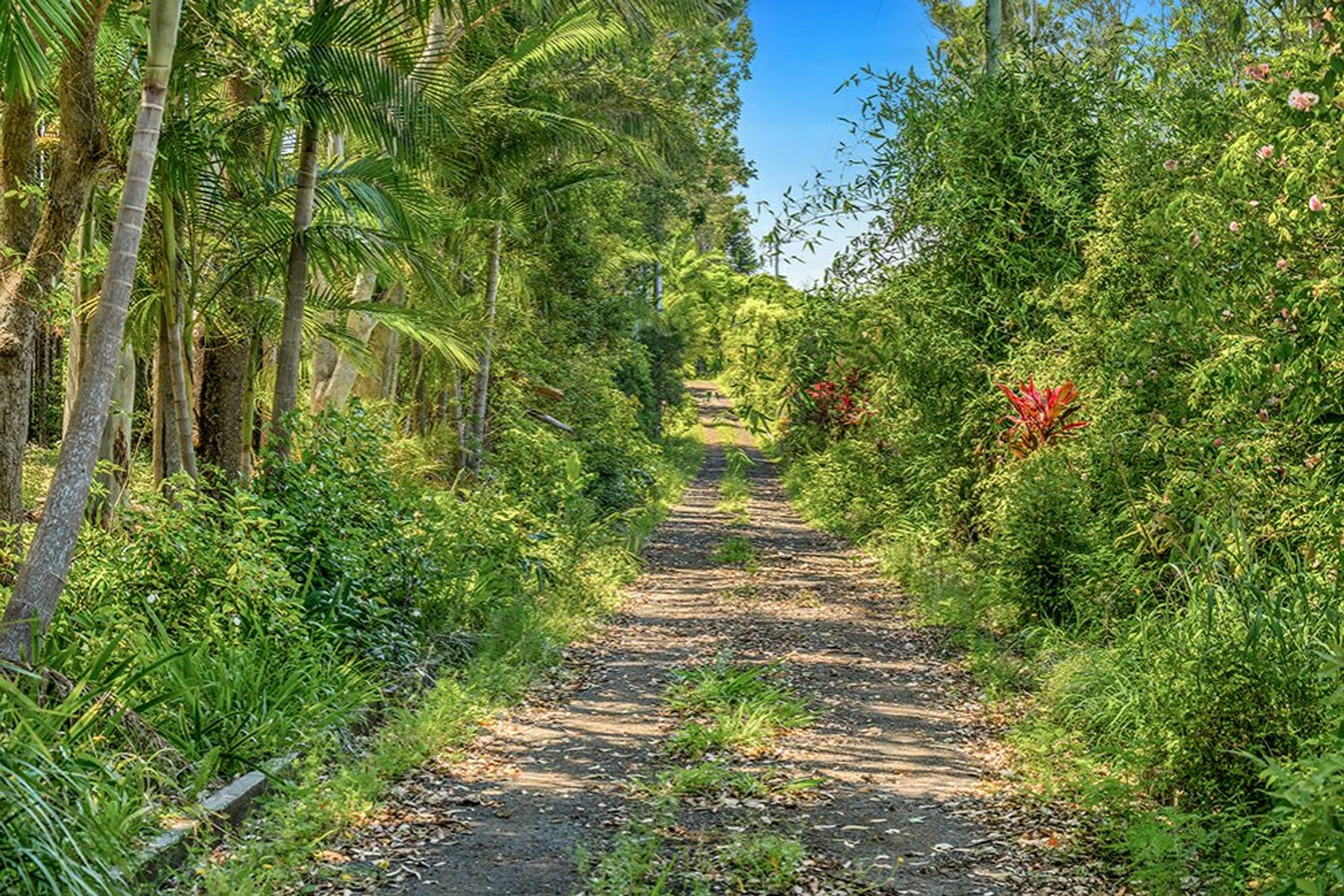 851 Bangalow Road, Bangalow - Thumbnail 8