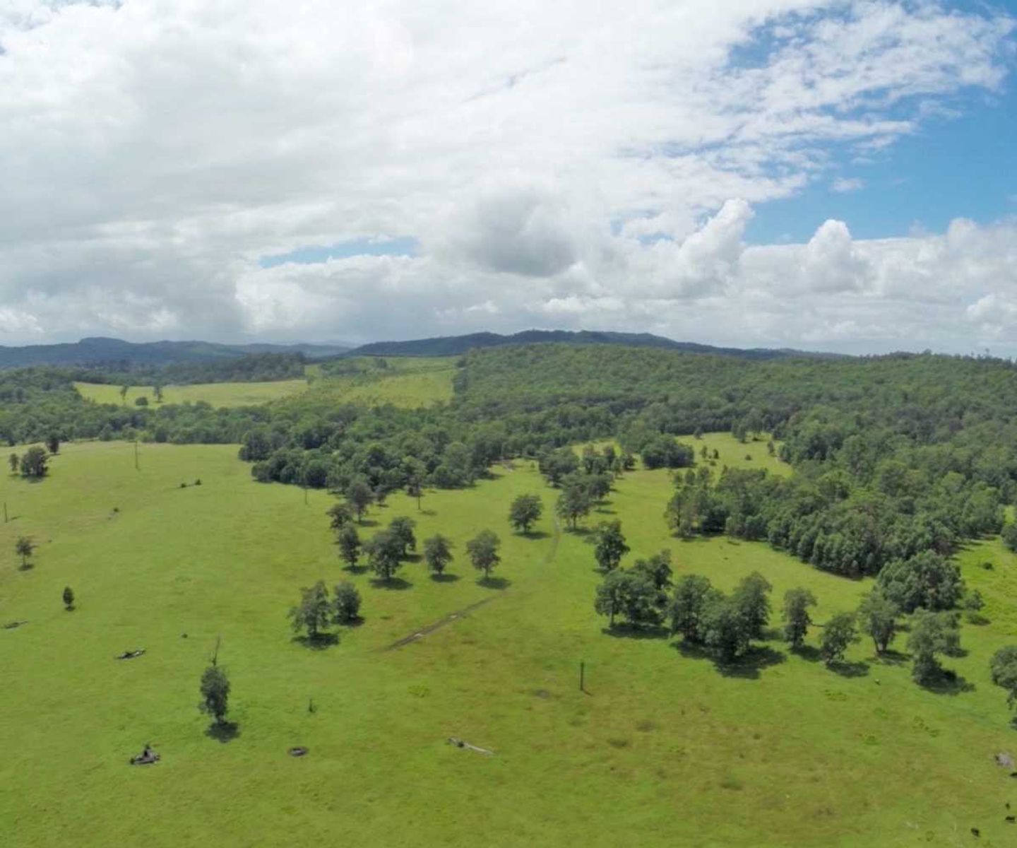 Iron Pot Creek Road NSW 2474, Iron Pot Creek Road - Thumbnail 6